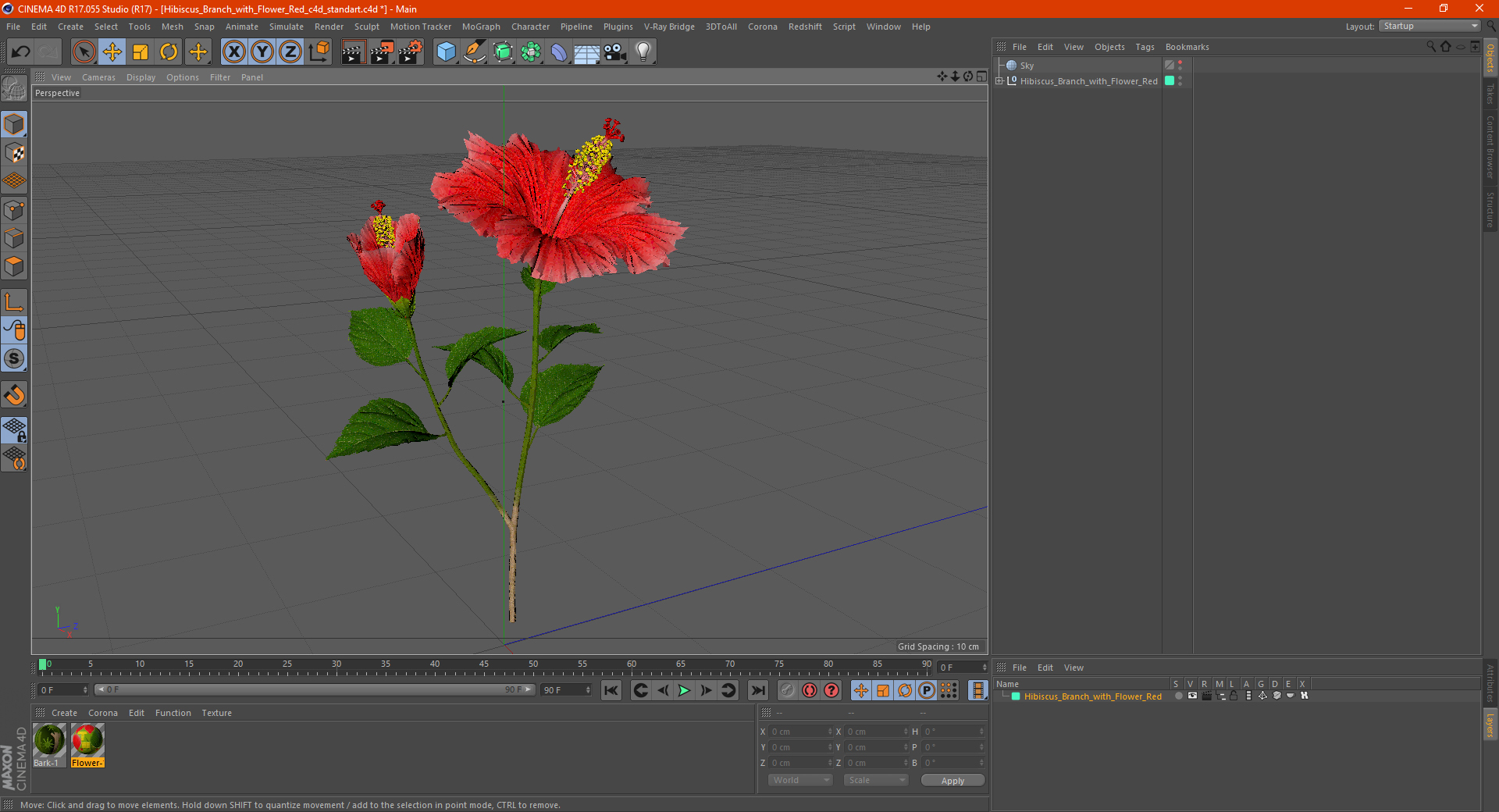 3D Hibiscus Branch with Flower Red