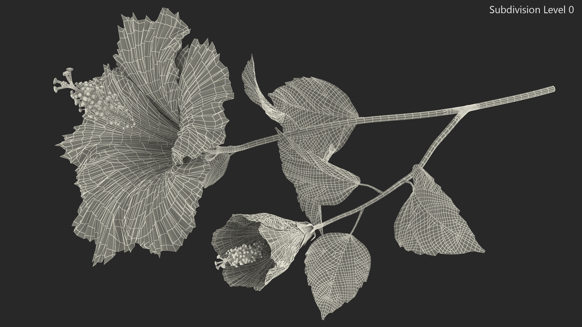 3D Hibiscus Branch with Flower Red