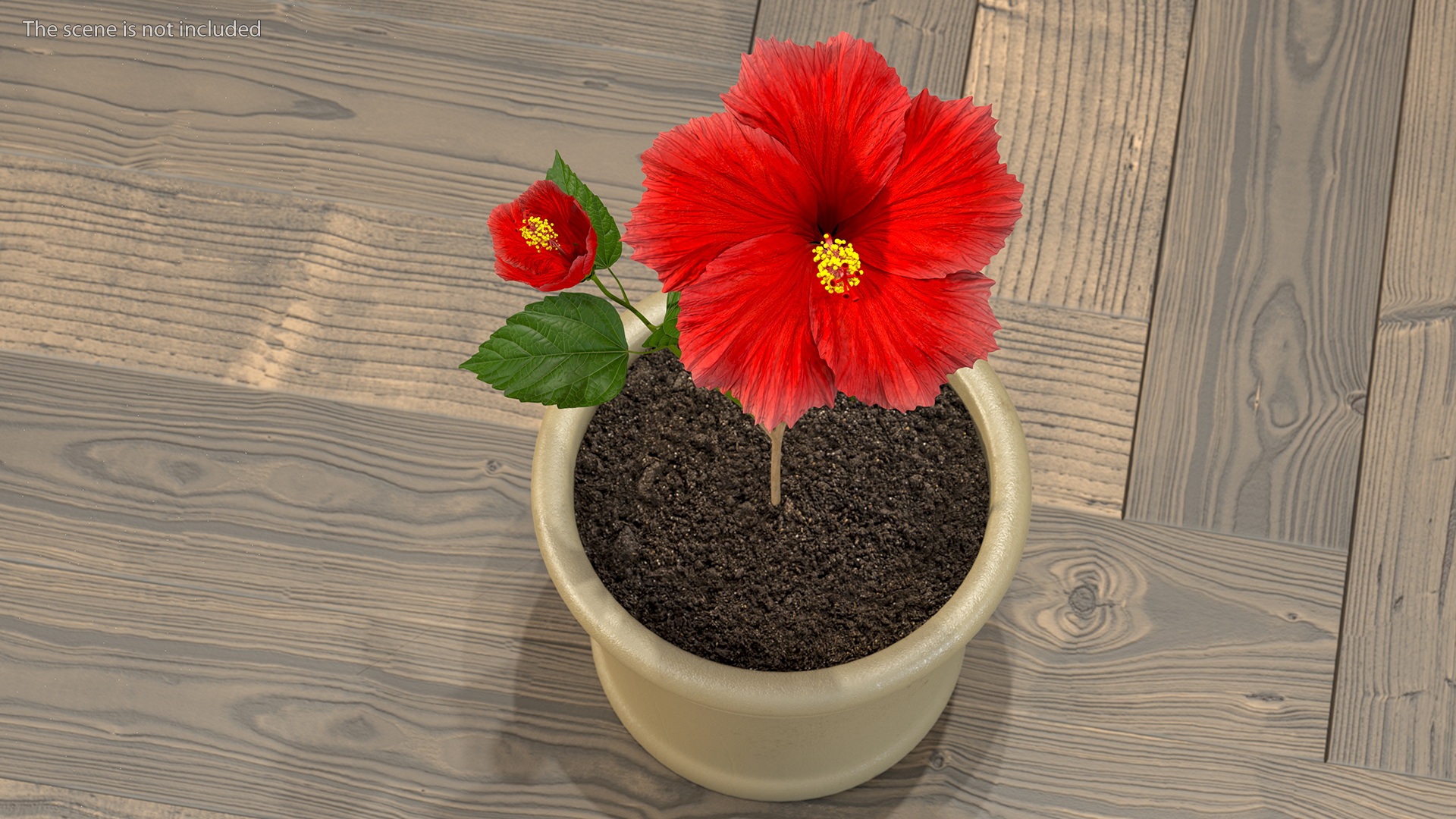 3D Hibiscus Branch with Flower Red