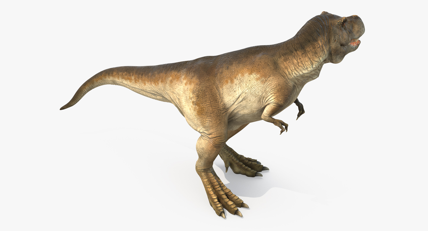 3D Tyrannosaurus Rex Standing