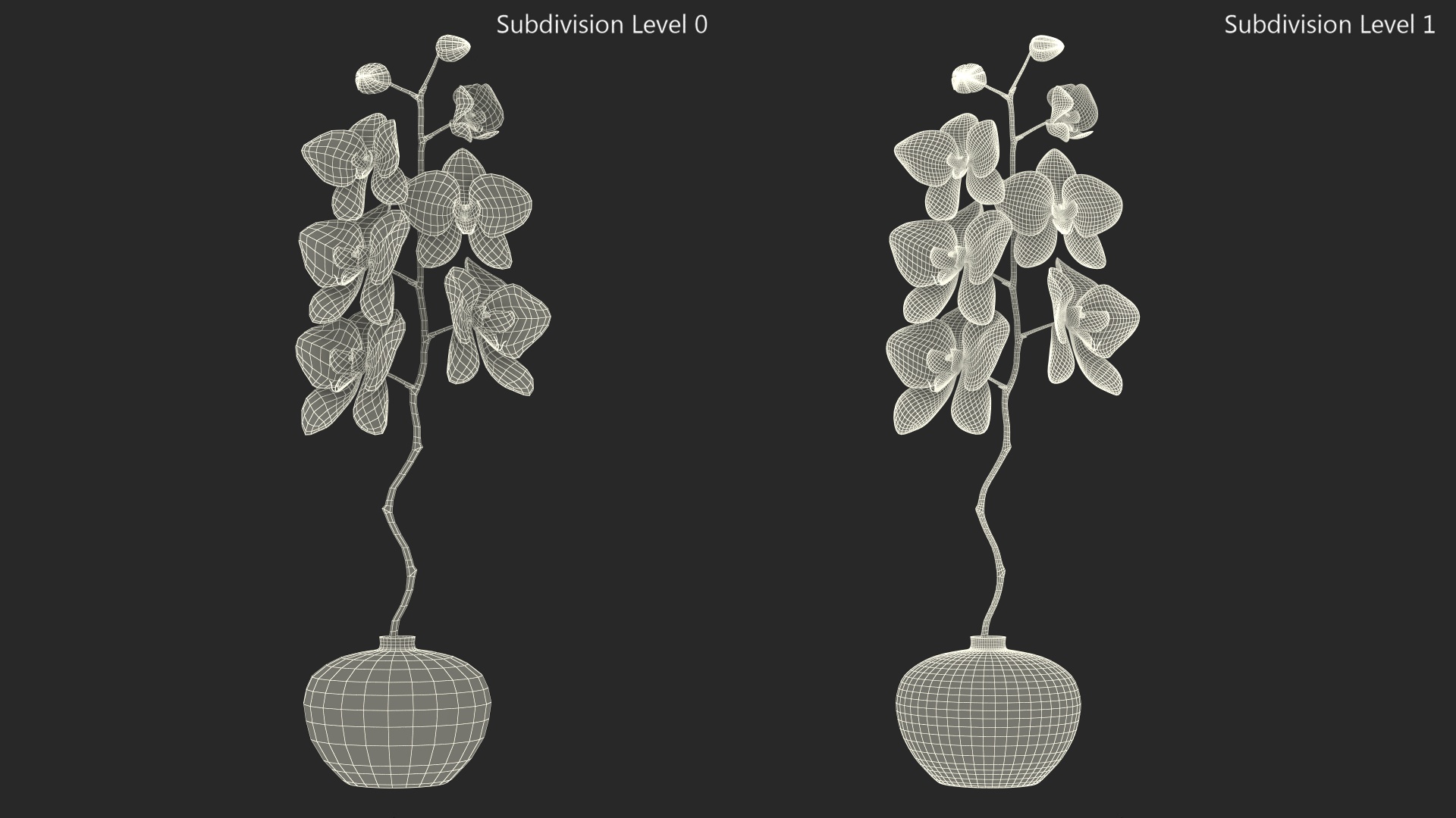 3D model Pink Orchid in Black Vase