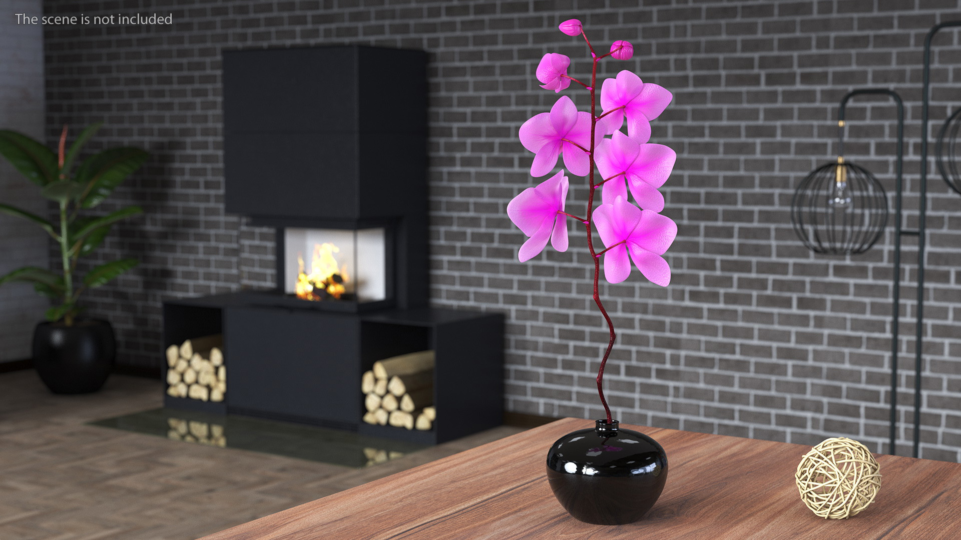 3D model Pink Orchid in Black Vase