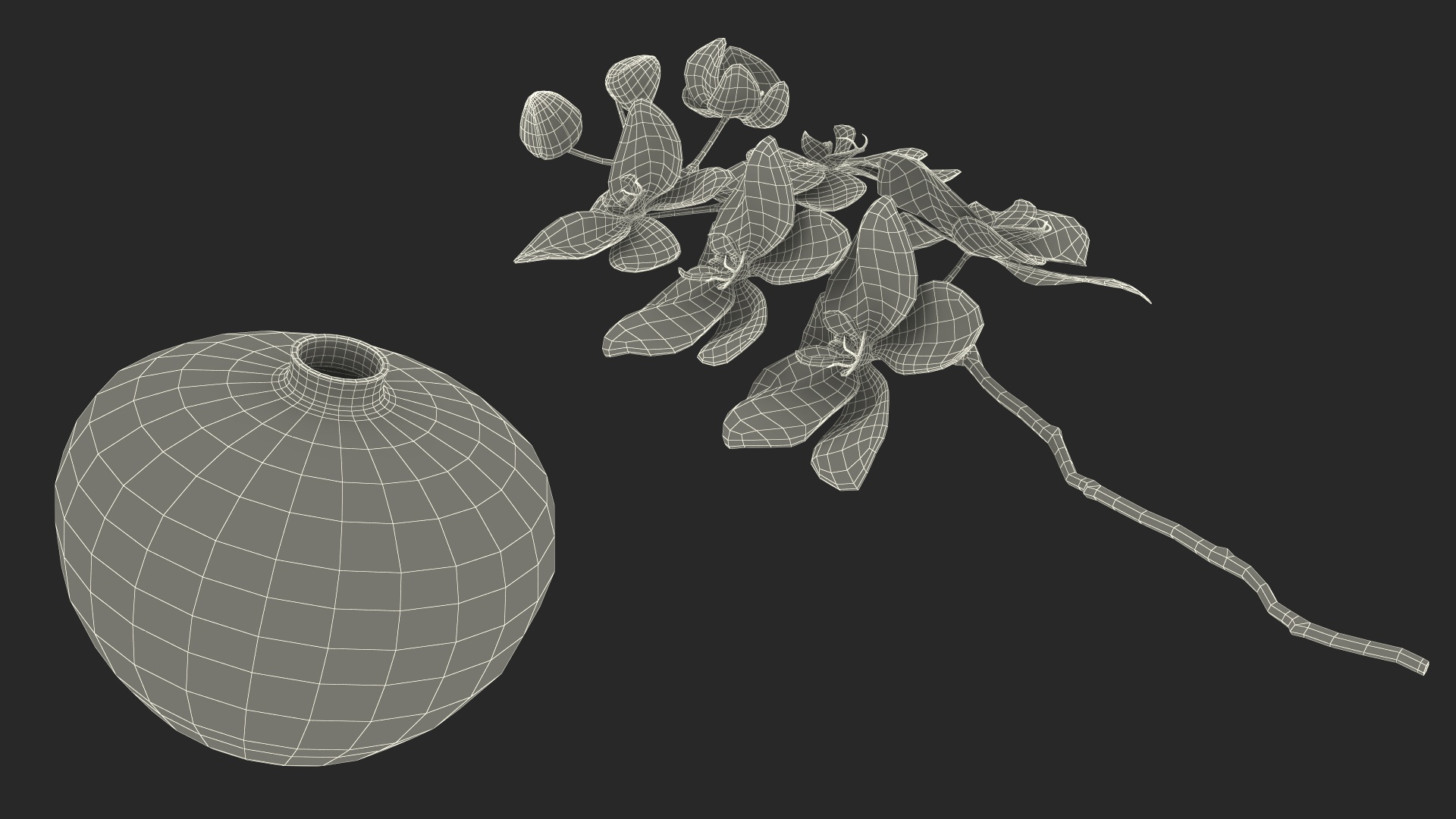 3D model Pink Orchid in Black Vase