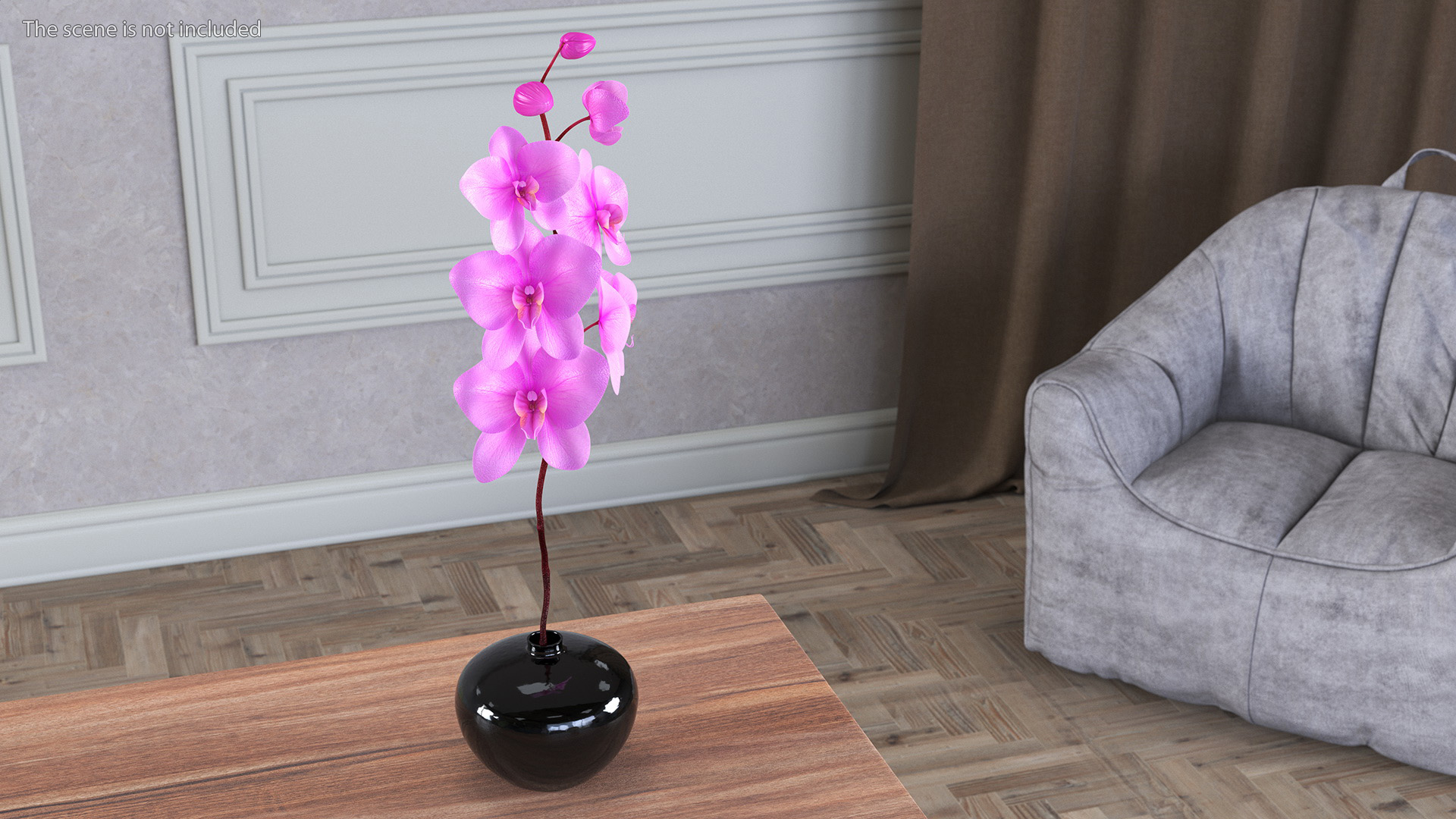 3D model Pink Orchid in Black Vase