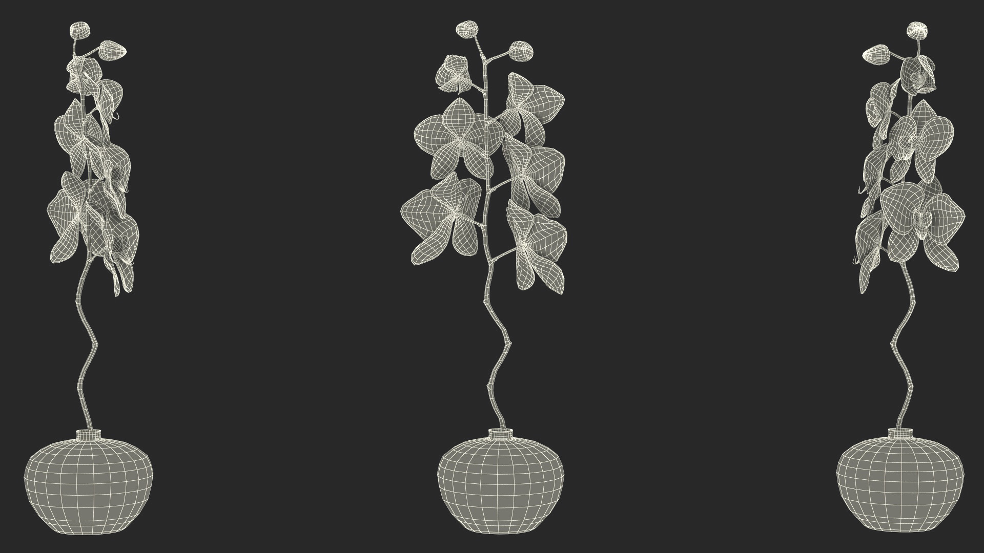 3D model Pink Orchid in Black Vase