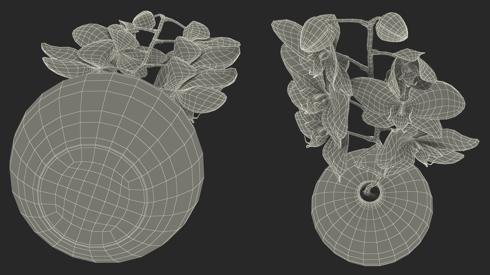 3D model Pink Orchid in Black Vase