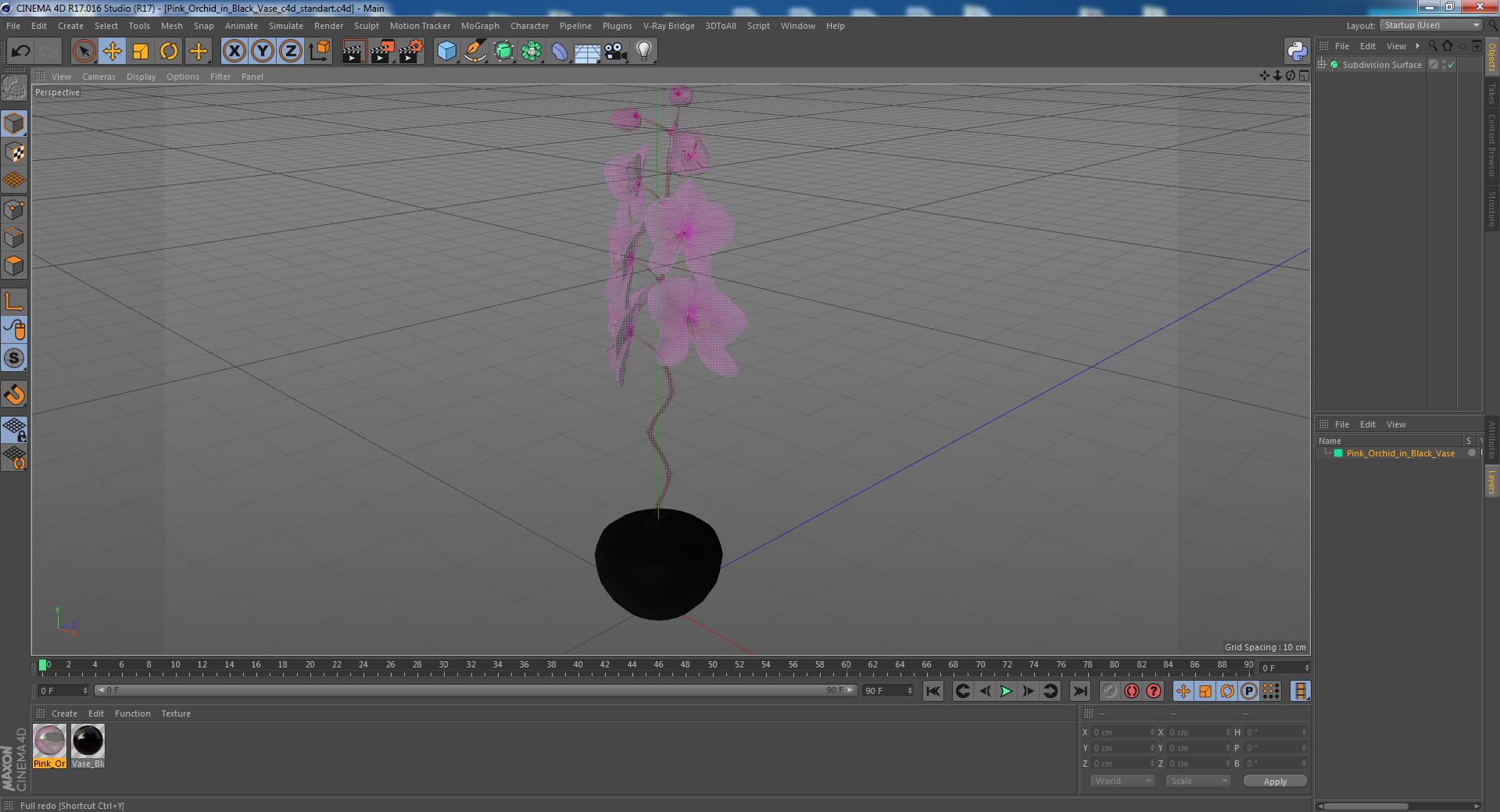 3D model Pink Orchid in Black Vase
