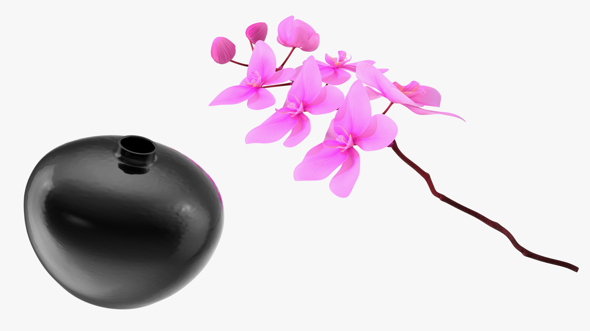 3D model Pink Orchid in Black Vase