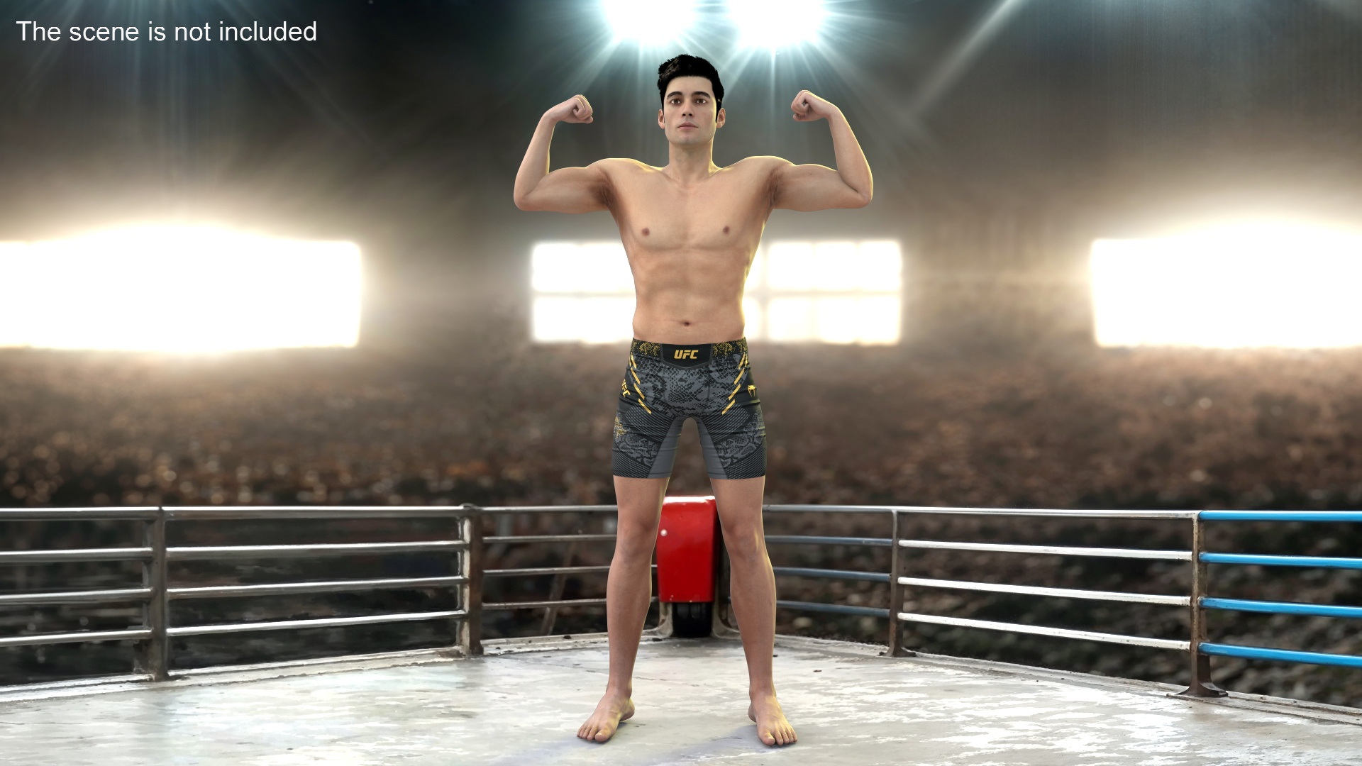 3D Fighter UFC MMA in Athletic Pose Fur