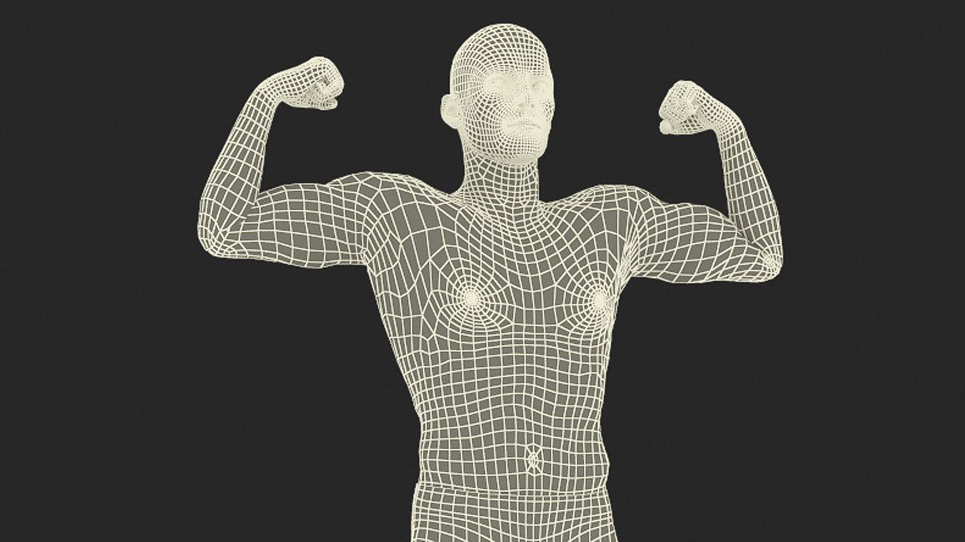 3D Fighter UFC MMA in Athletic Pose Fur