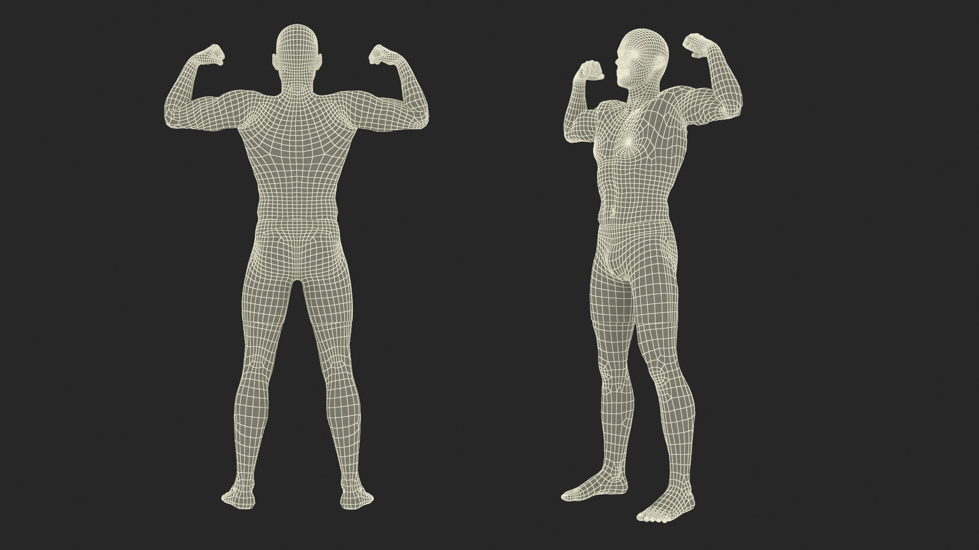 3D Fighter UFC MMA in Athletic Pose Fur
