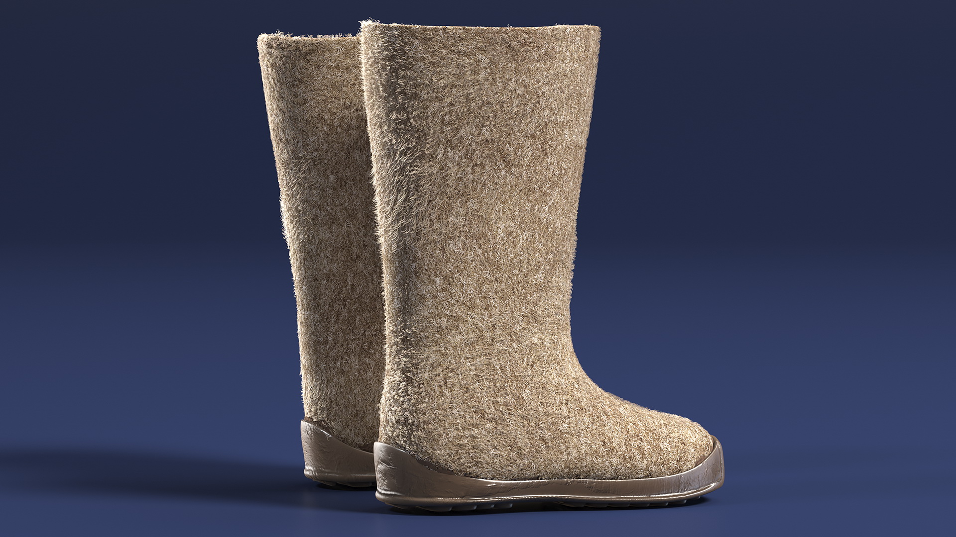 Warm Rustic Felt Boots With Rubber Soles Fur 3D model