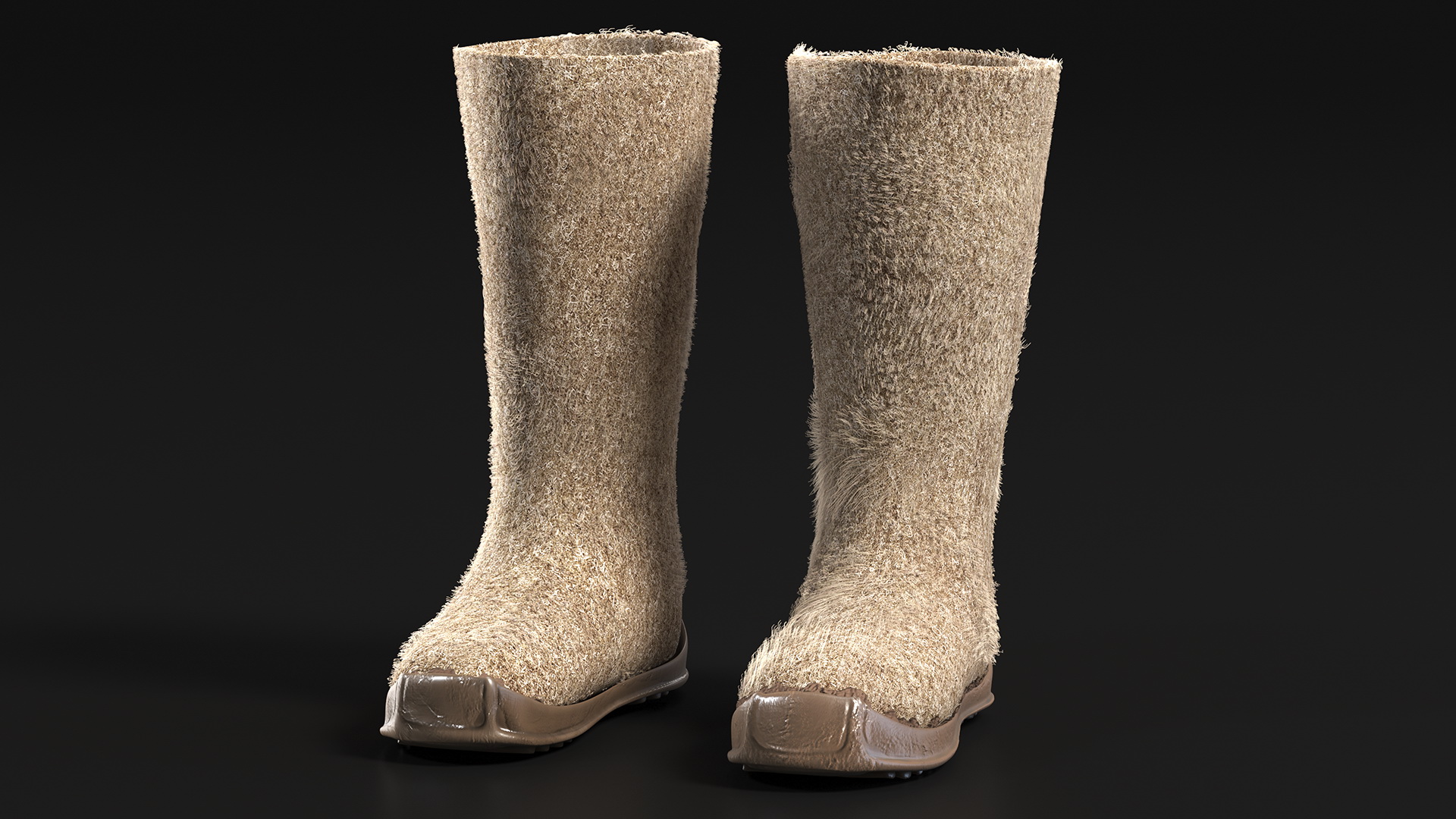Warm Rustic Felt Boots With Rubber Soles Fur 3D model