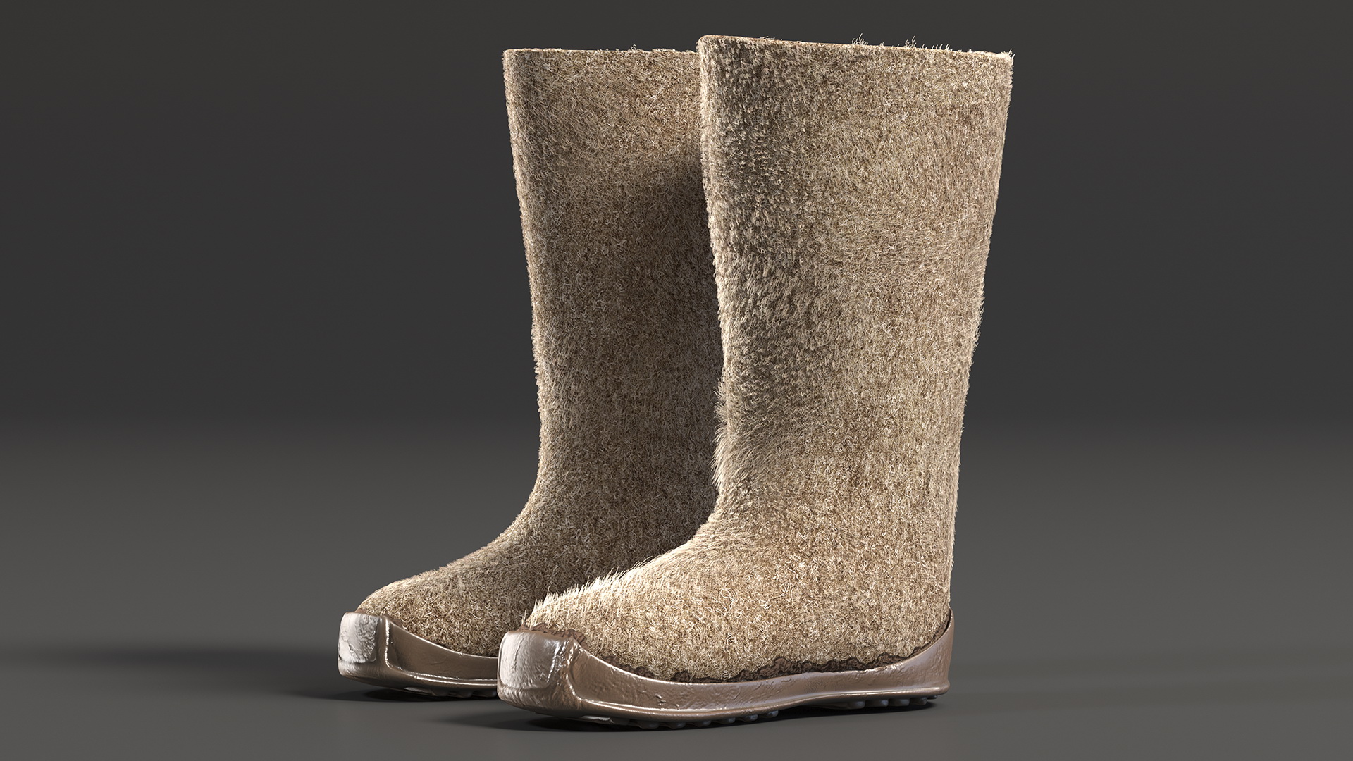 Warm Rustic Felt Boots With Rubber Soles Fur 3D model
