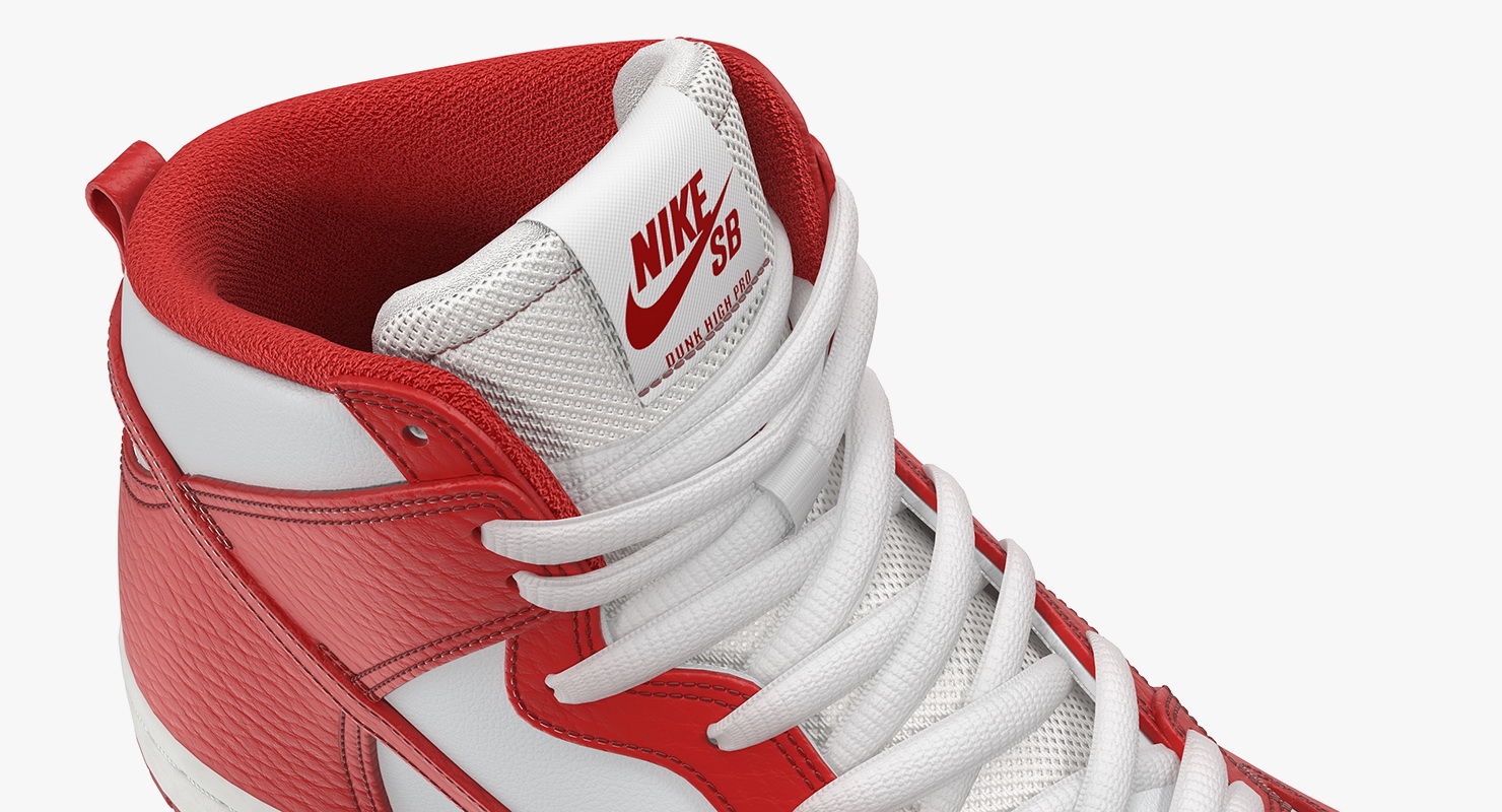 3D Nike Skateboarding Shoe Dunk High Pro Red