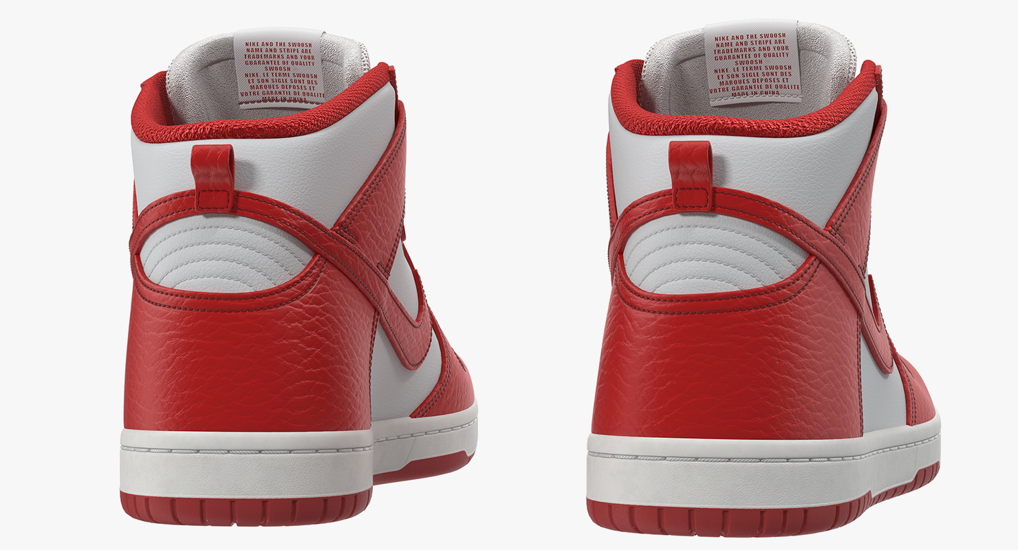 3D Nike Skateboarding Shoe Dunk High Pro Red