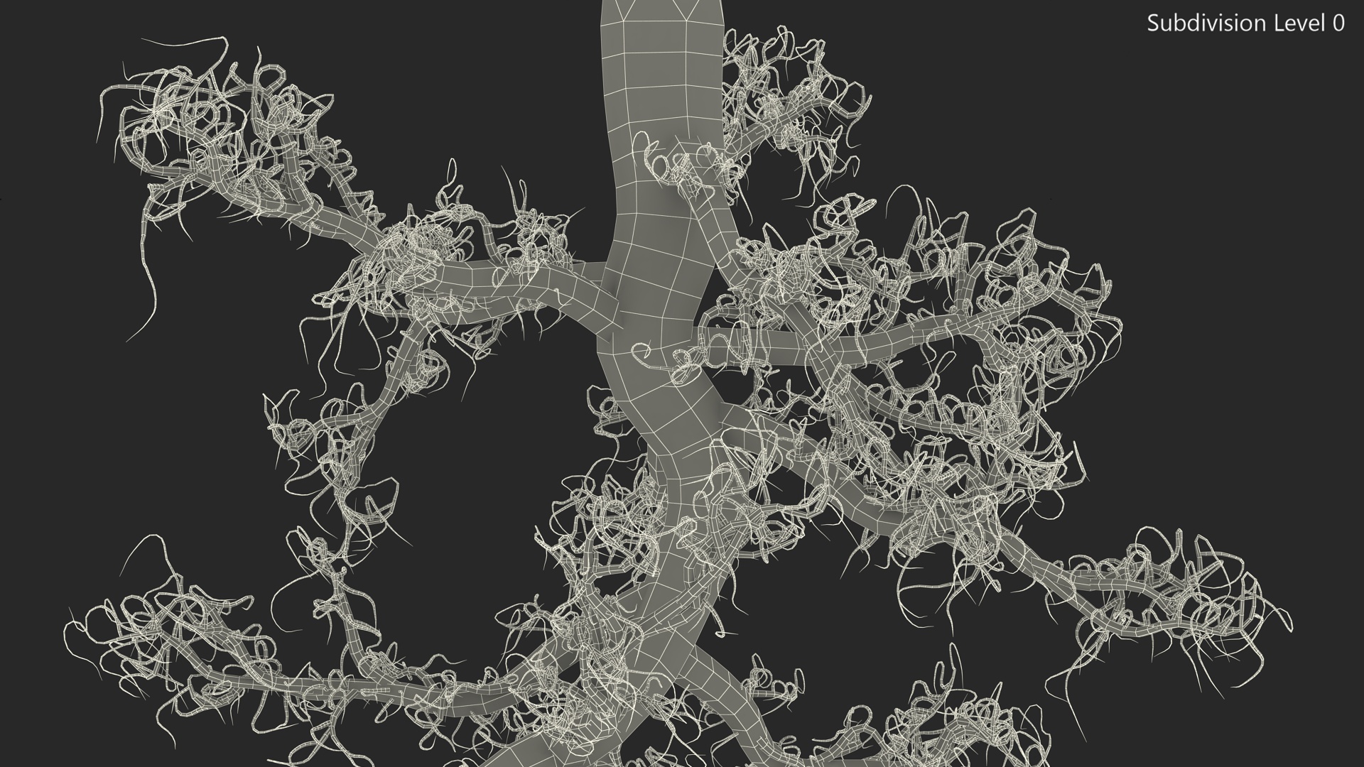 3D Plant Roots