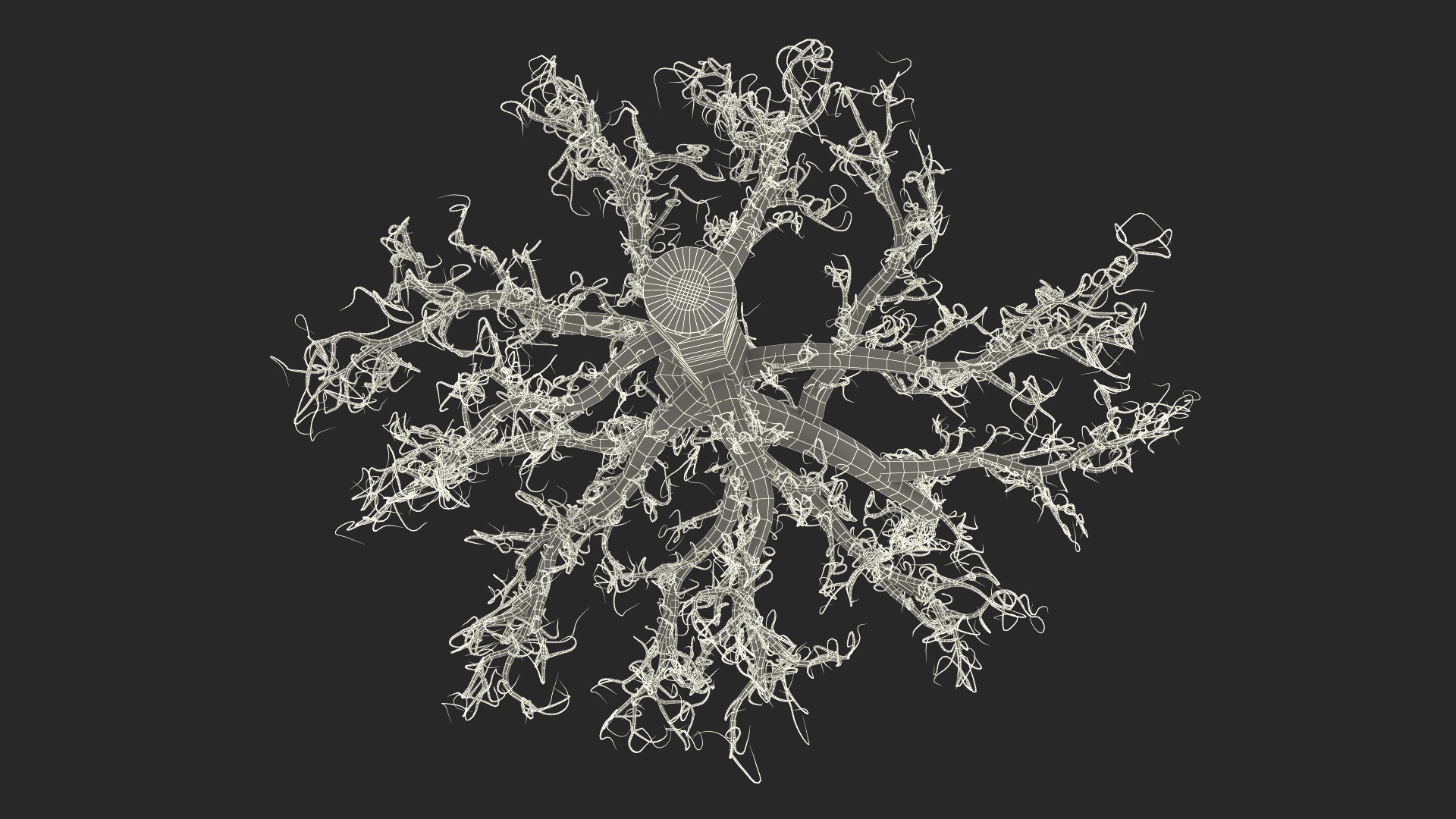 3D Plant Roots