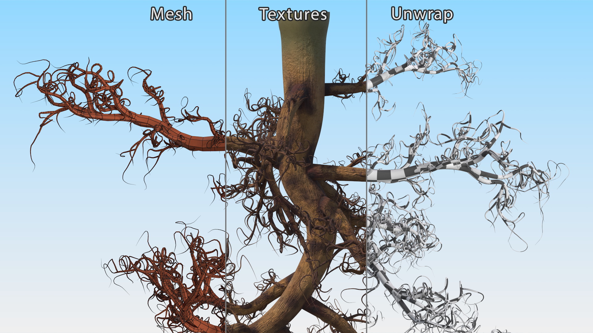 3D Plant Roots