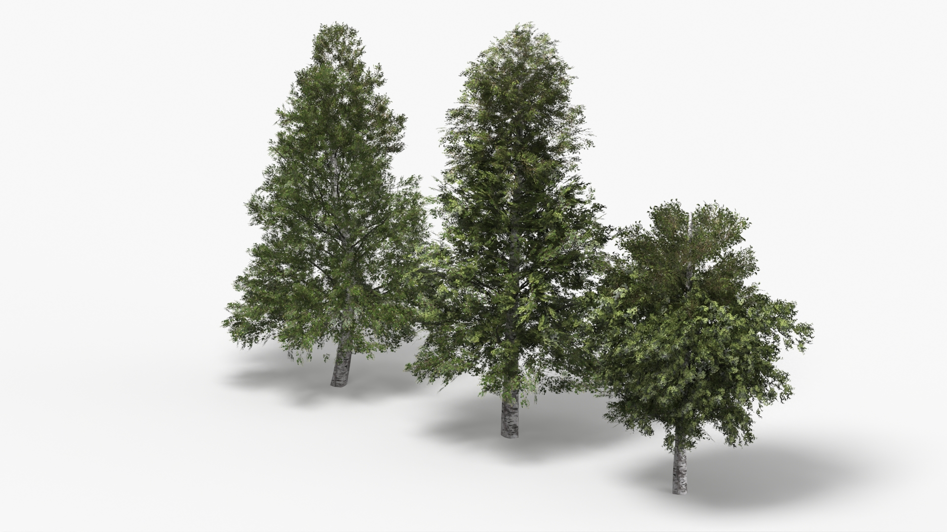 Low Poly Birch Trees Set Green - view 2