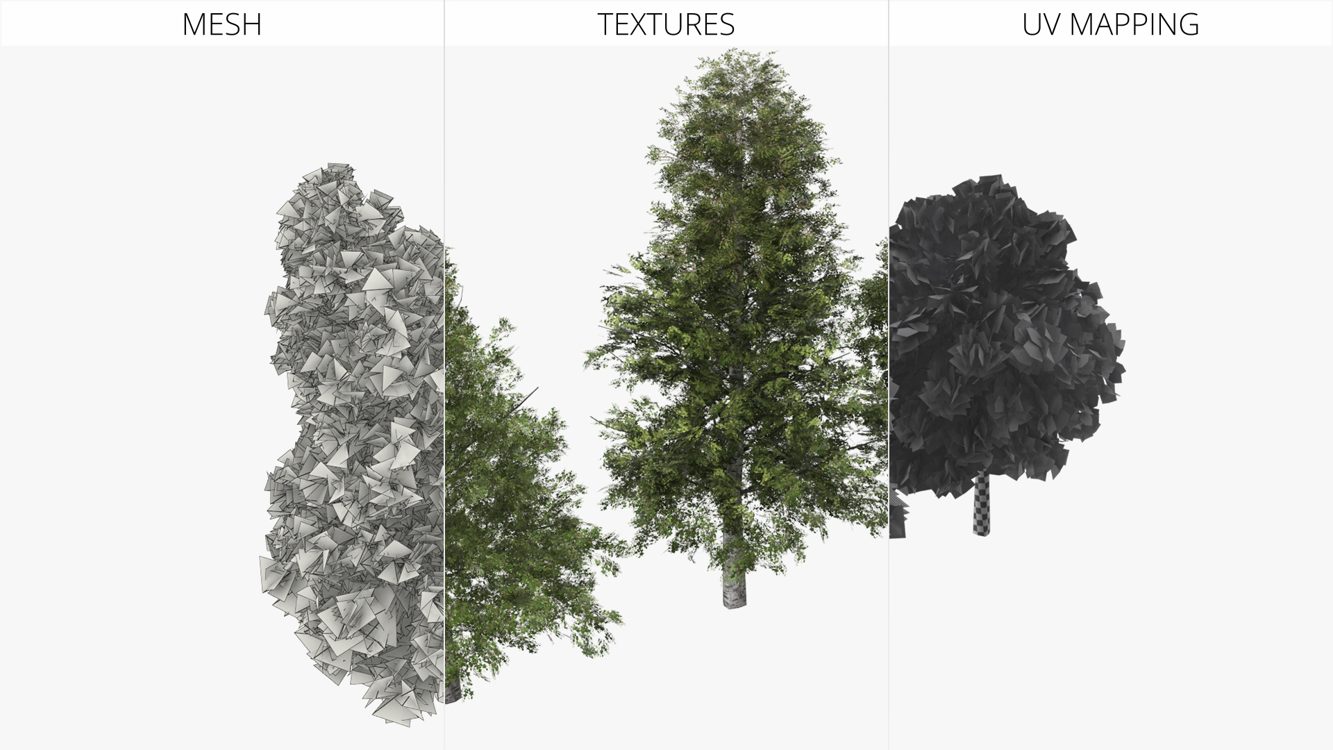 Low Poly Birch Trees Set Green - view 7