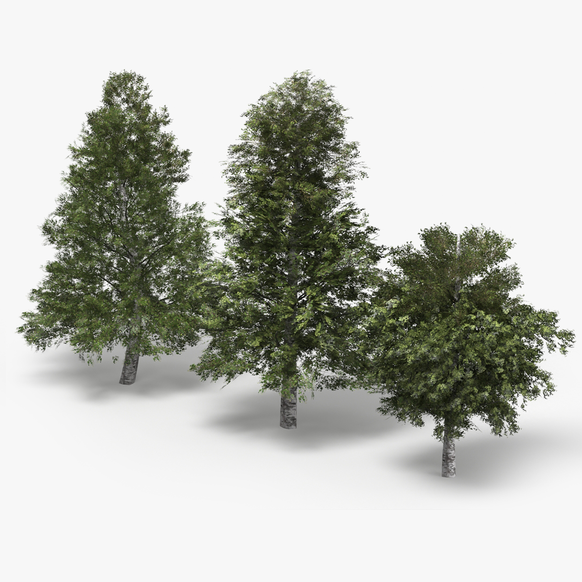 Low Poly Birch Trees Set Green 3D model preview