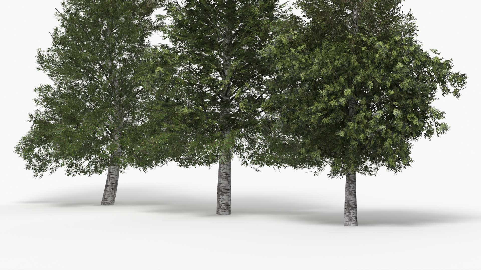 Low Poly Birch Trees Set Green - view 6