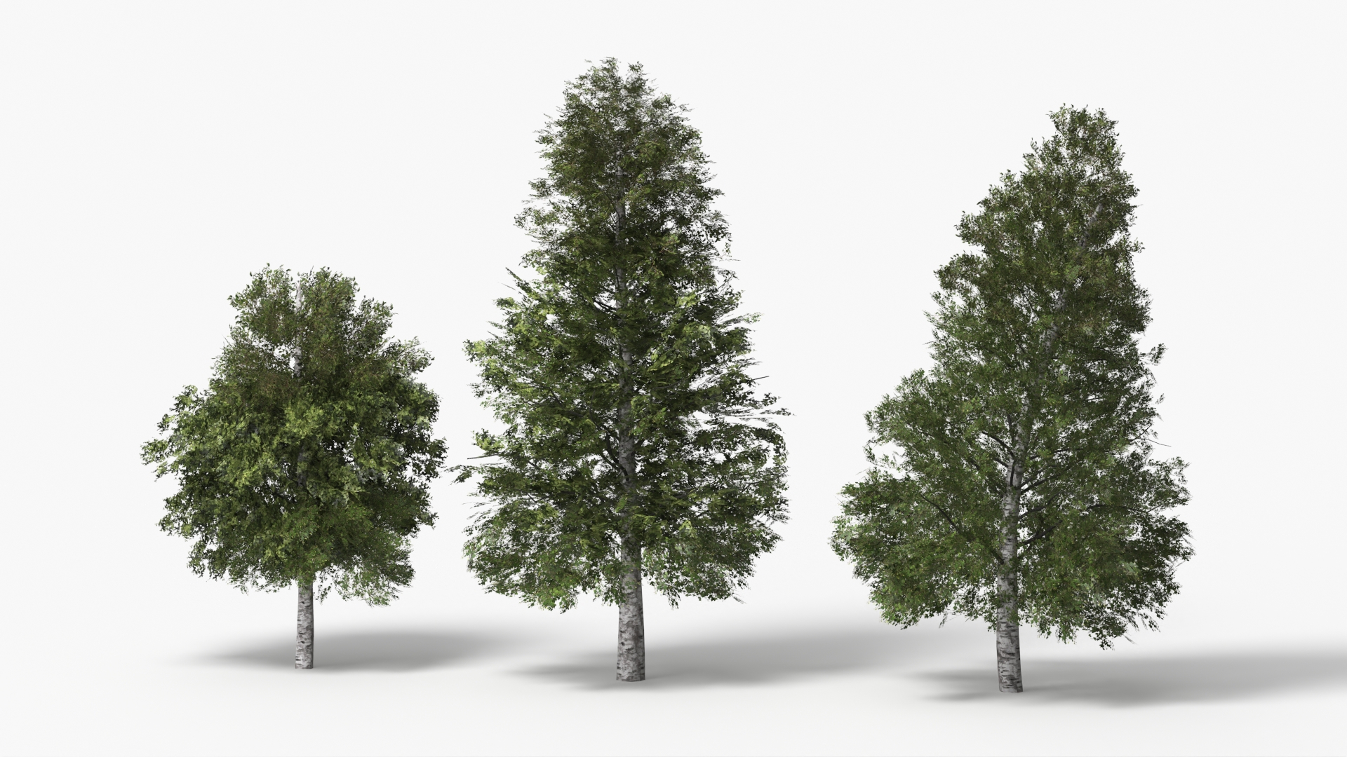 Low Poly Birch Trees Set Green - view 4