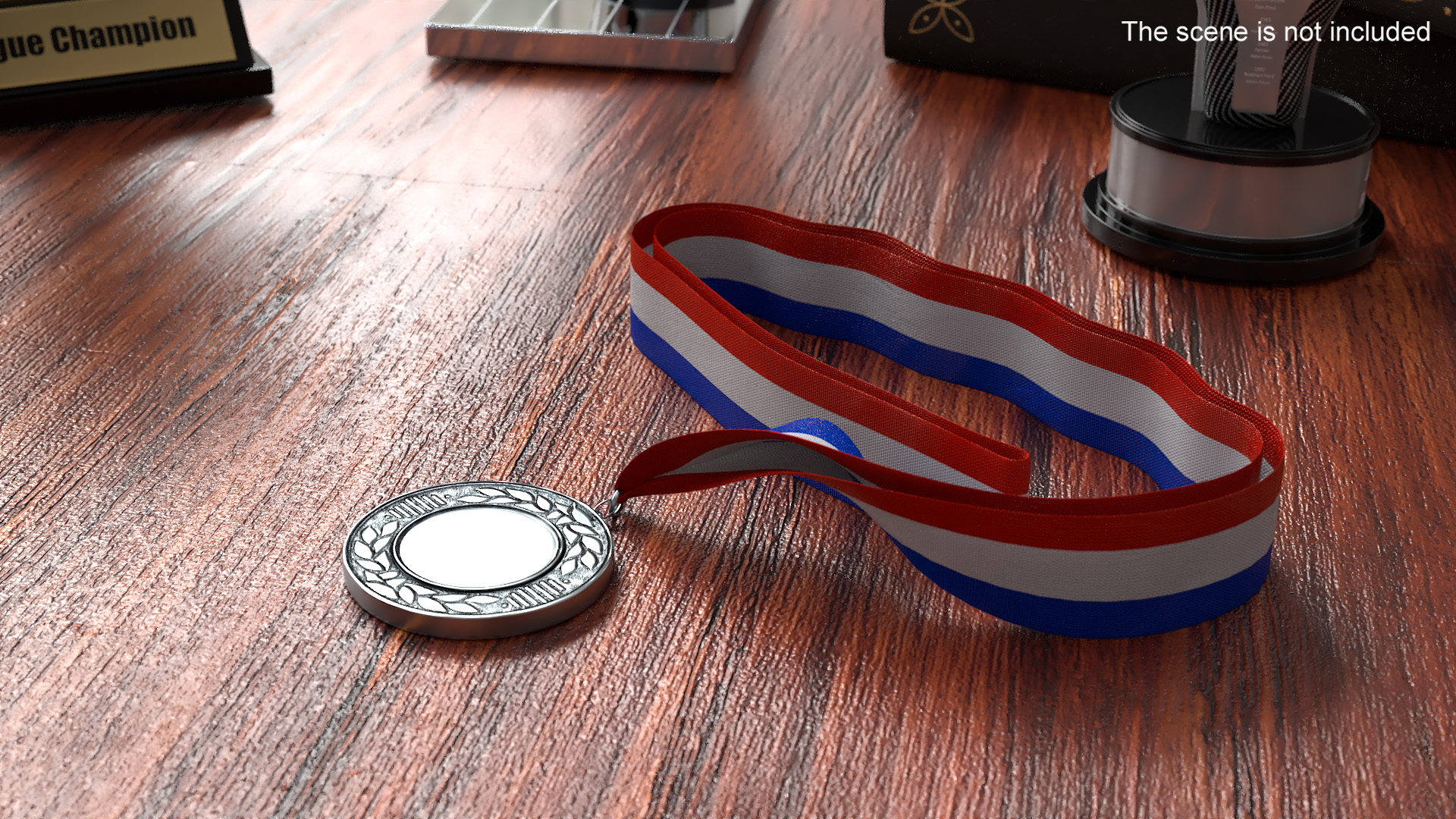 Silver Award Medal with Tricolor Ribbon 3D model