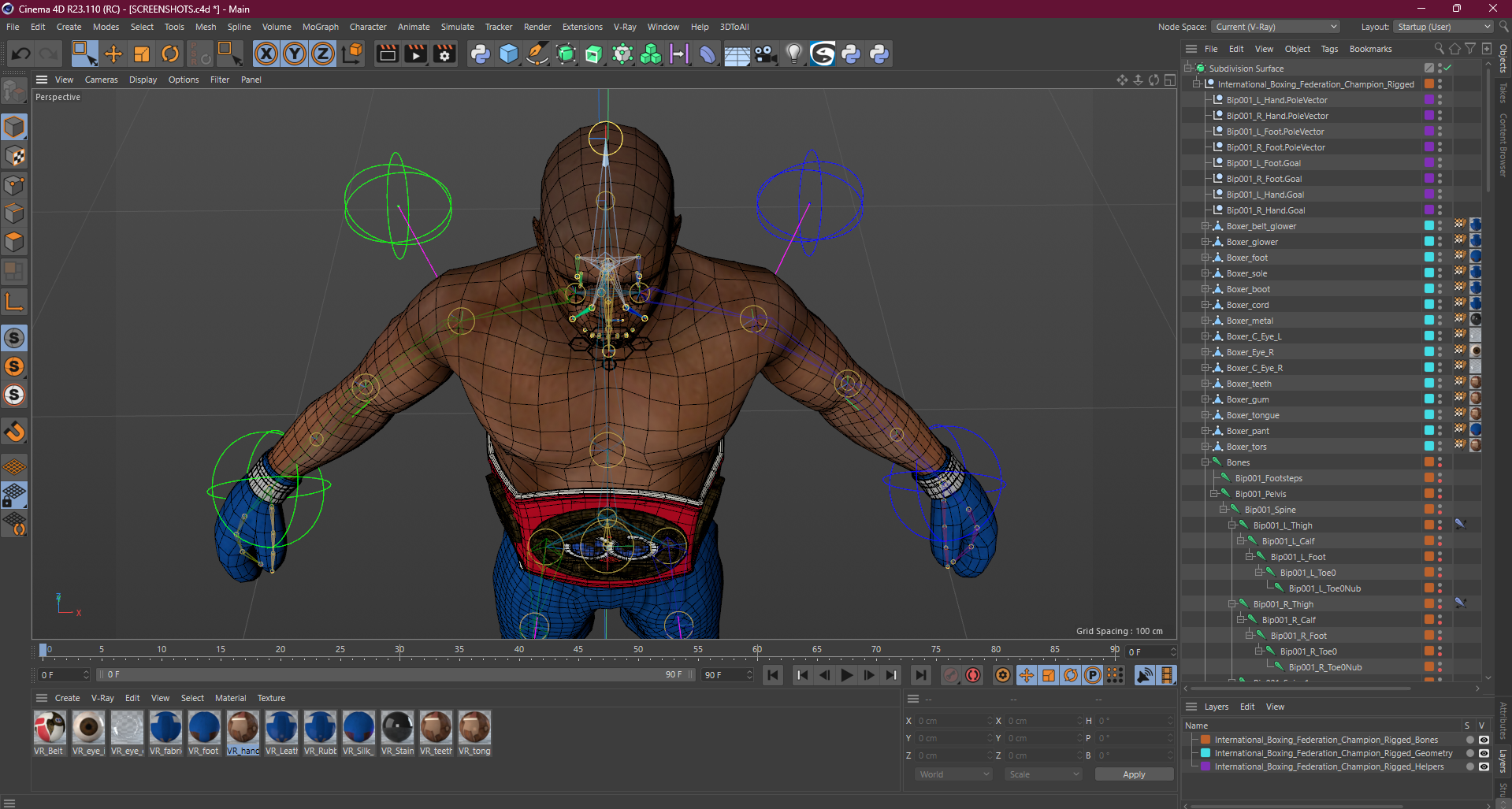 3D International Boxing Federation Champion Rigged for Cinema 4D