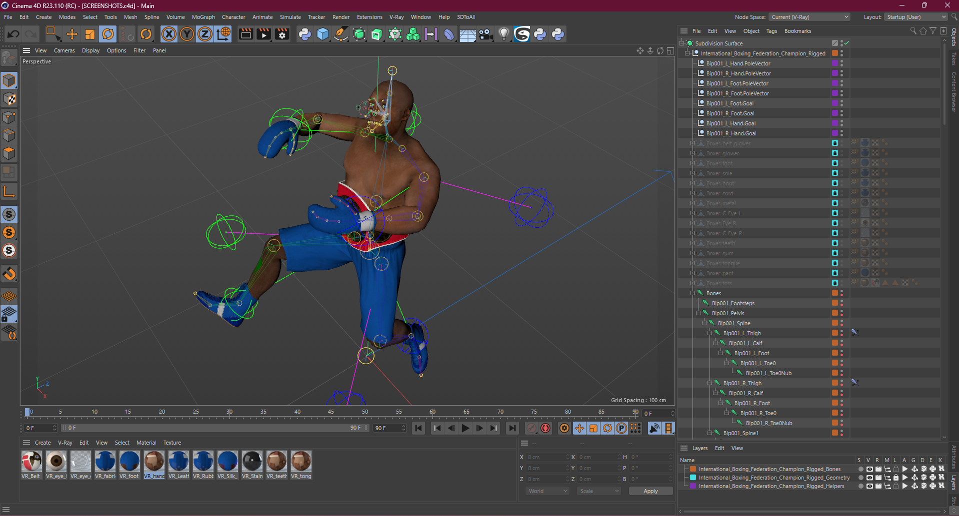 3D International Boxing Federation Champion Rigged for Cinema 4D