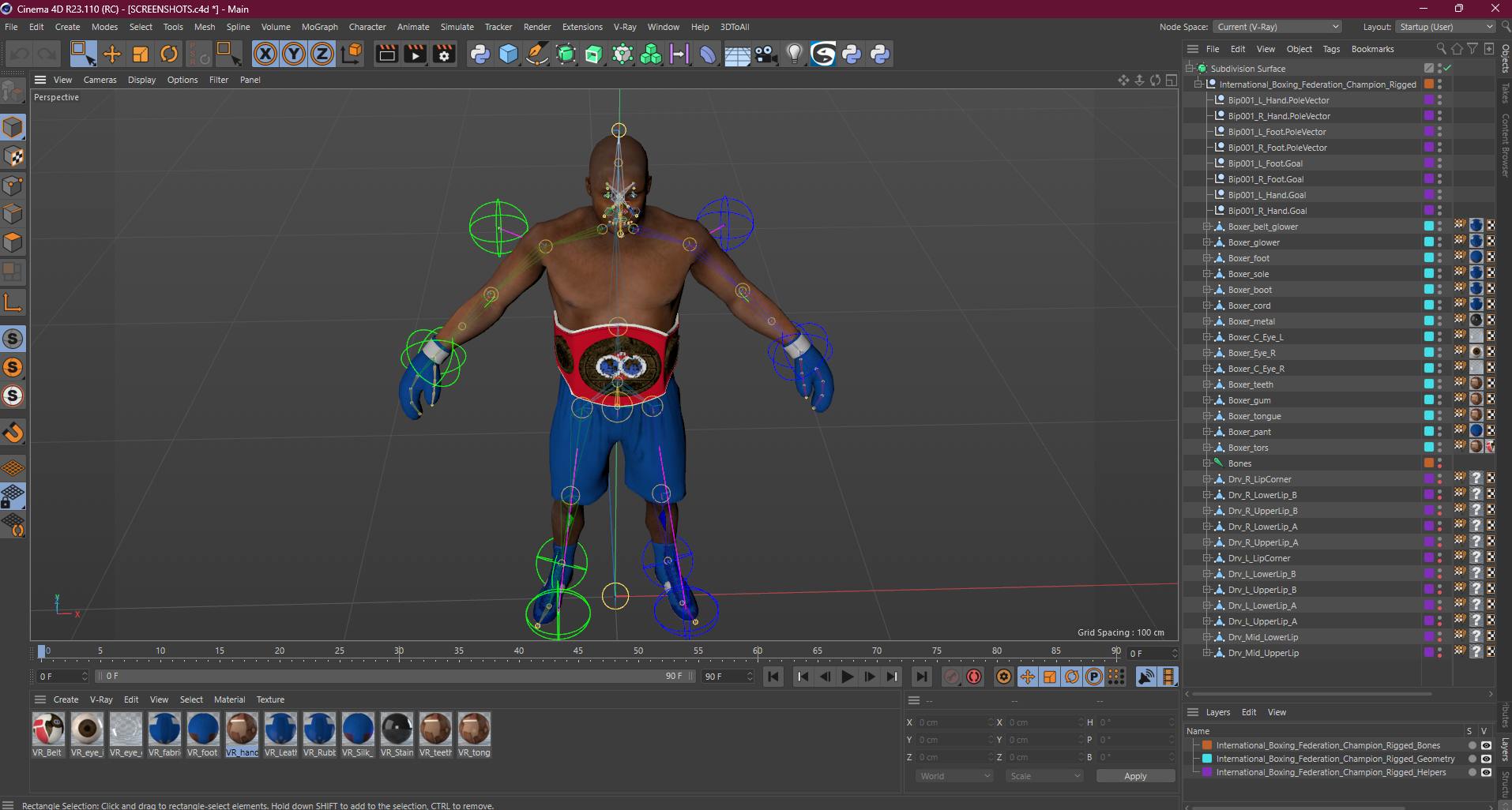 3D International Boxing Federation Champion Rigged for Cinema 4D