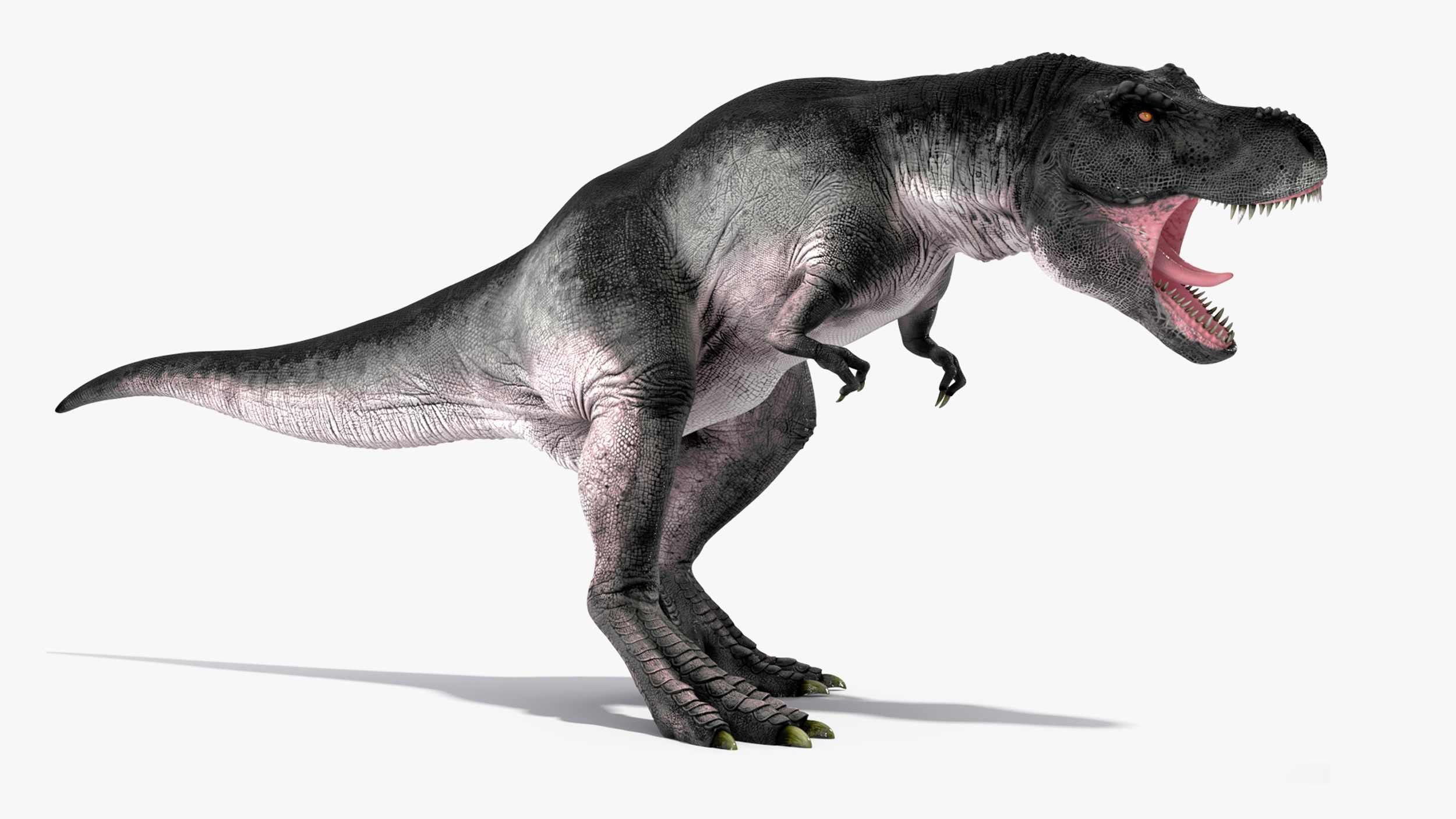 3D T Rex Rigged for Cinema 4D