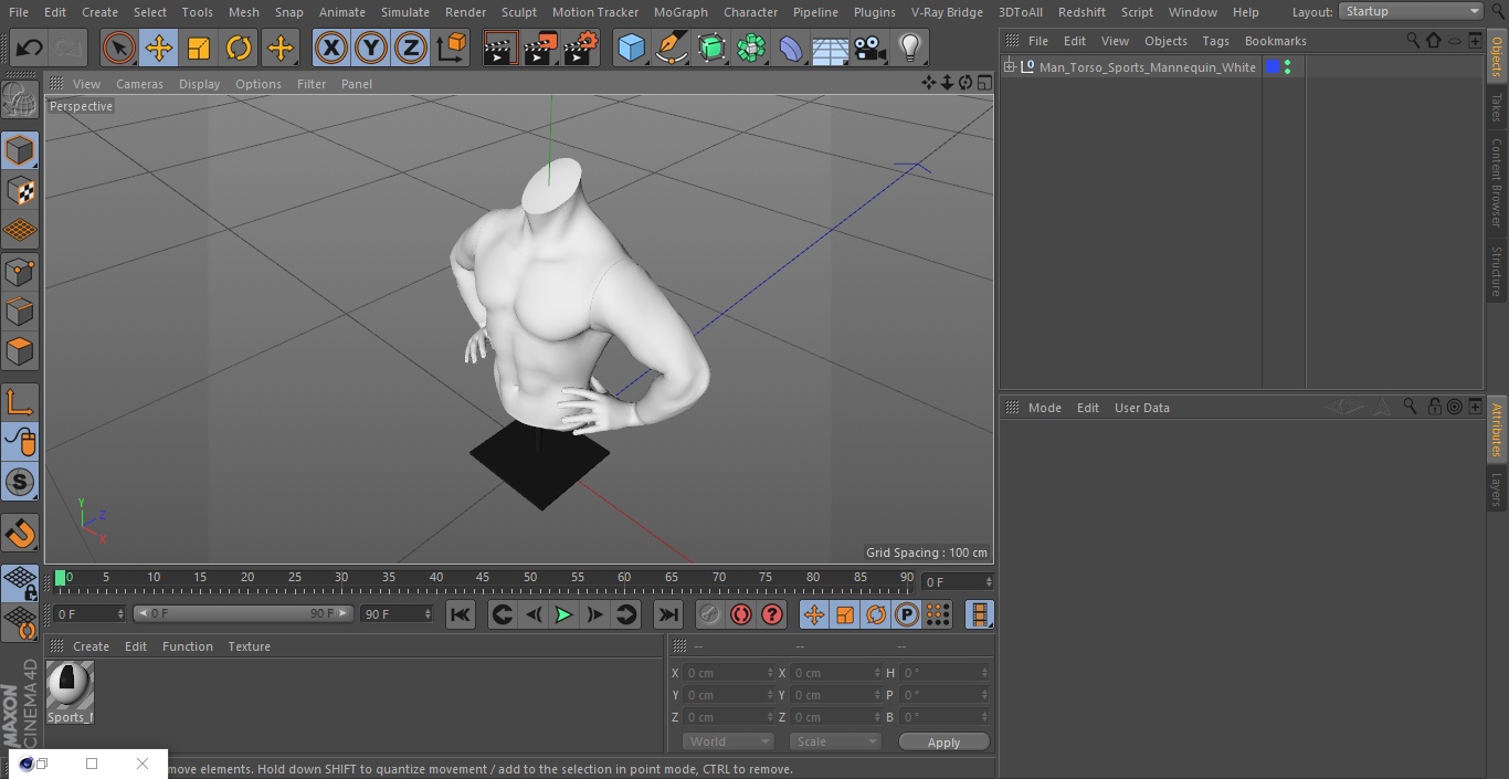 Man Torso Sports Mannequin White 3D