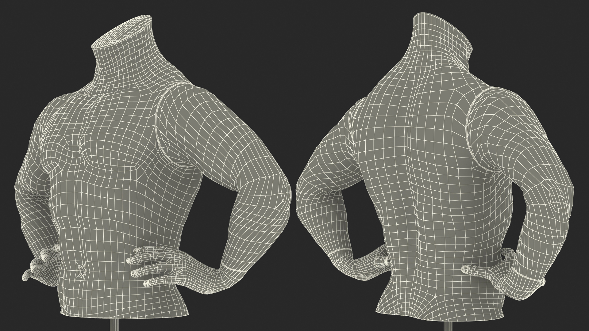 Man Torso Sports Mannequin White 3D