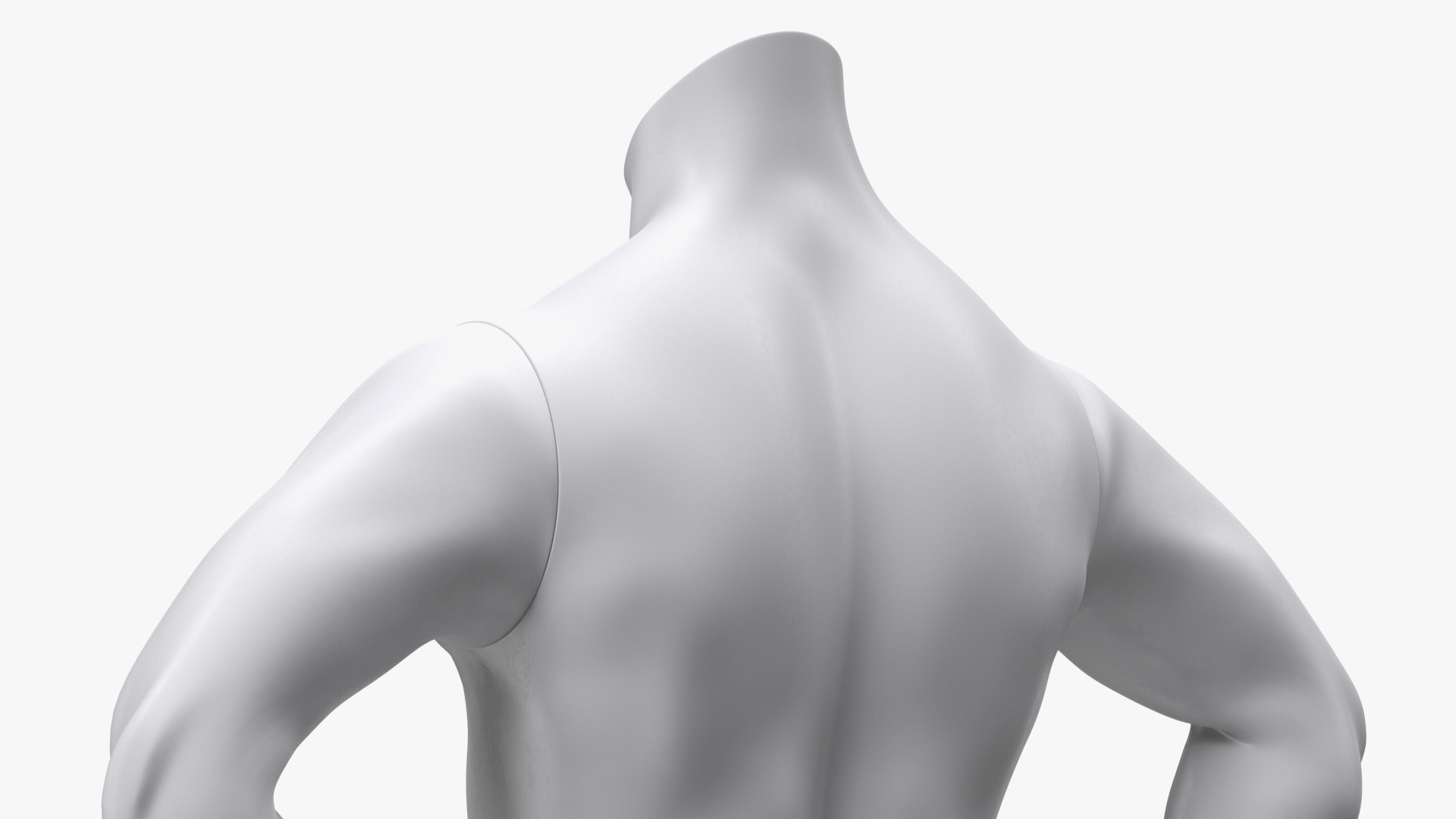 Man Torso Sports Mannequin White 3D
