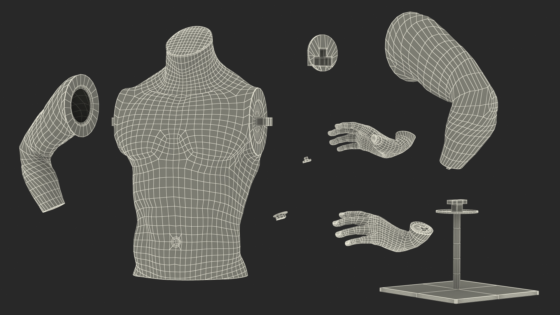 Man Torso Sports Mannequin White 3D