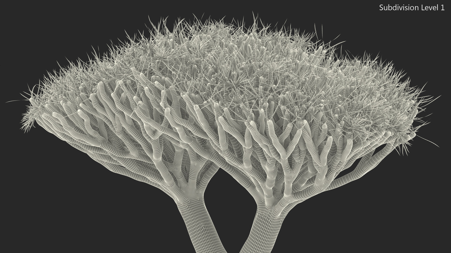 Dragon Tree Roots 3D