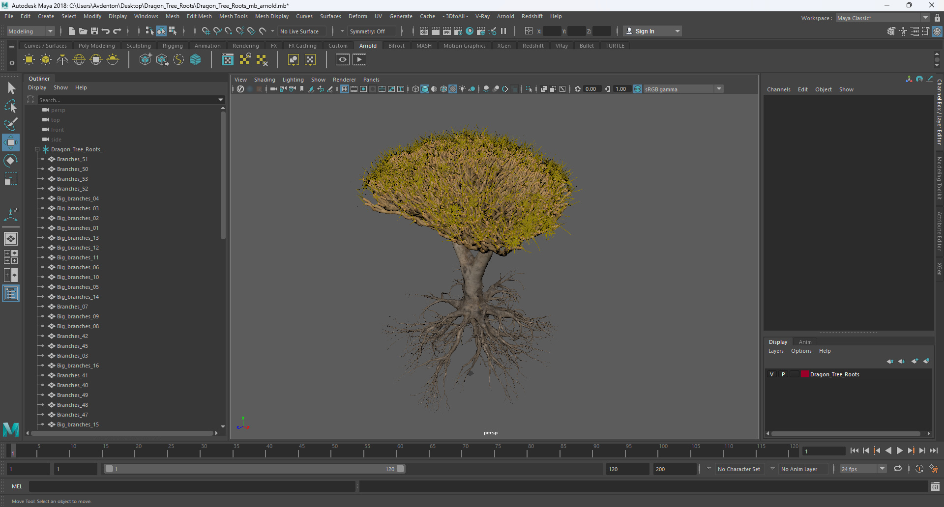Dragon Tree Roots 3D