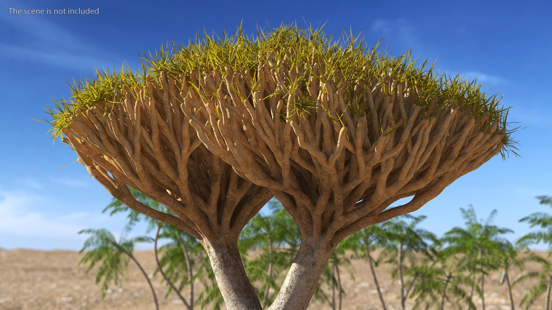 Dragon Tree Roots 3D