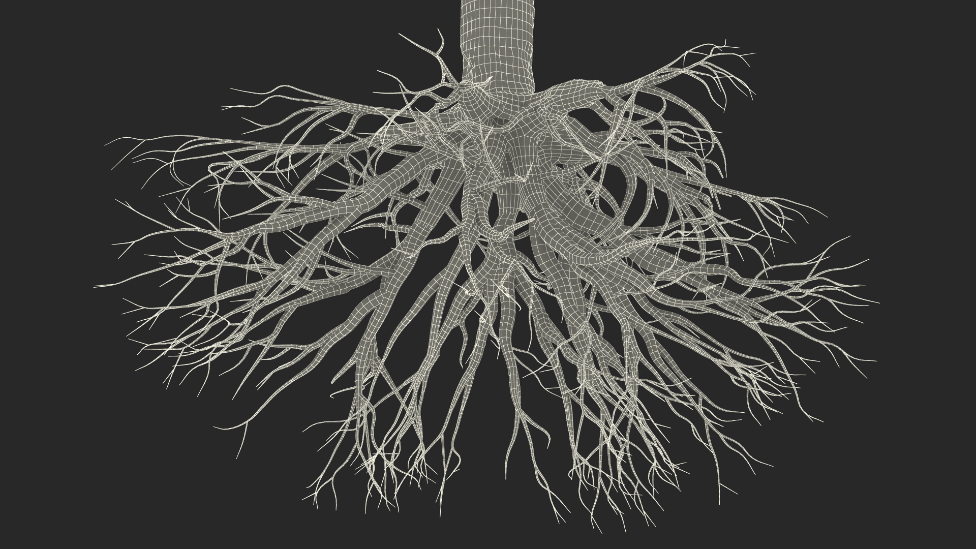 Dragon Tree Roots 3D