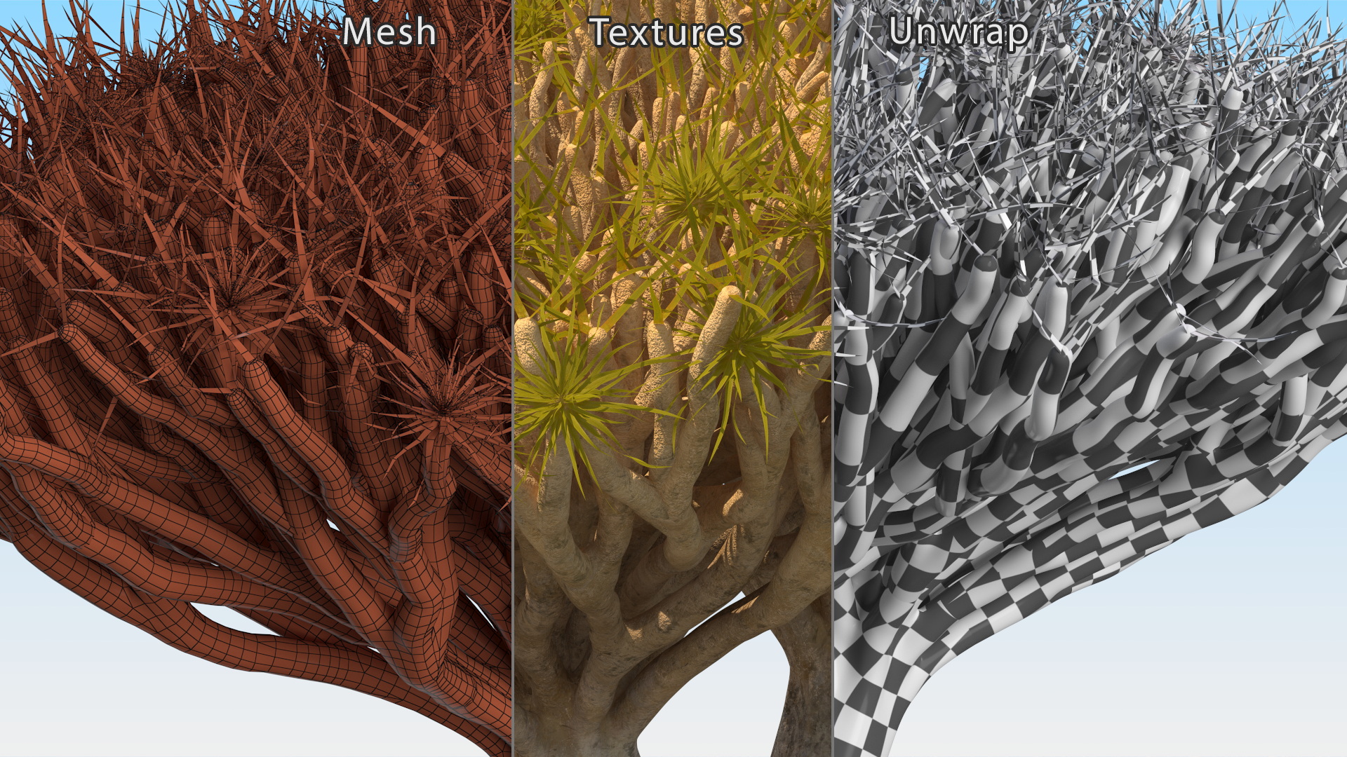 Dragon Tree Roots 3D