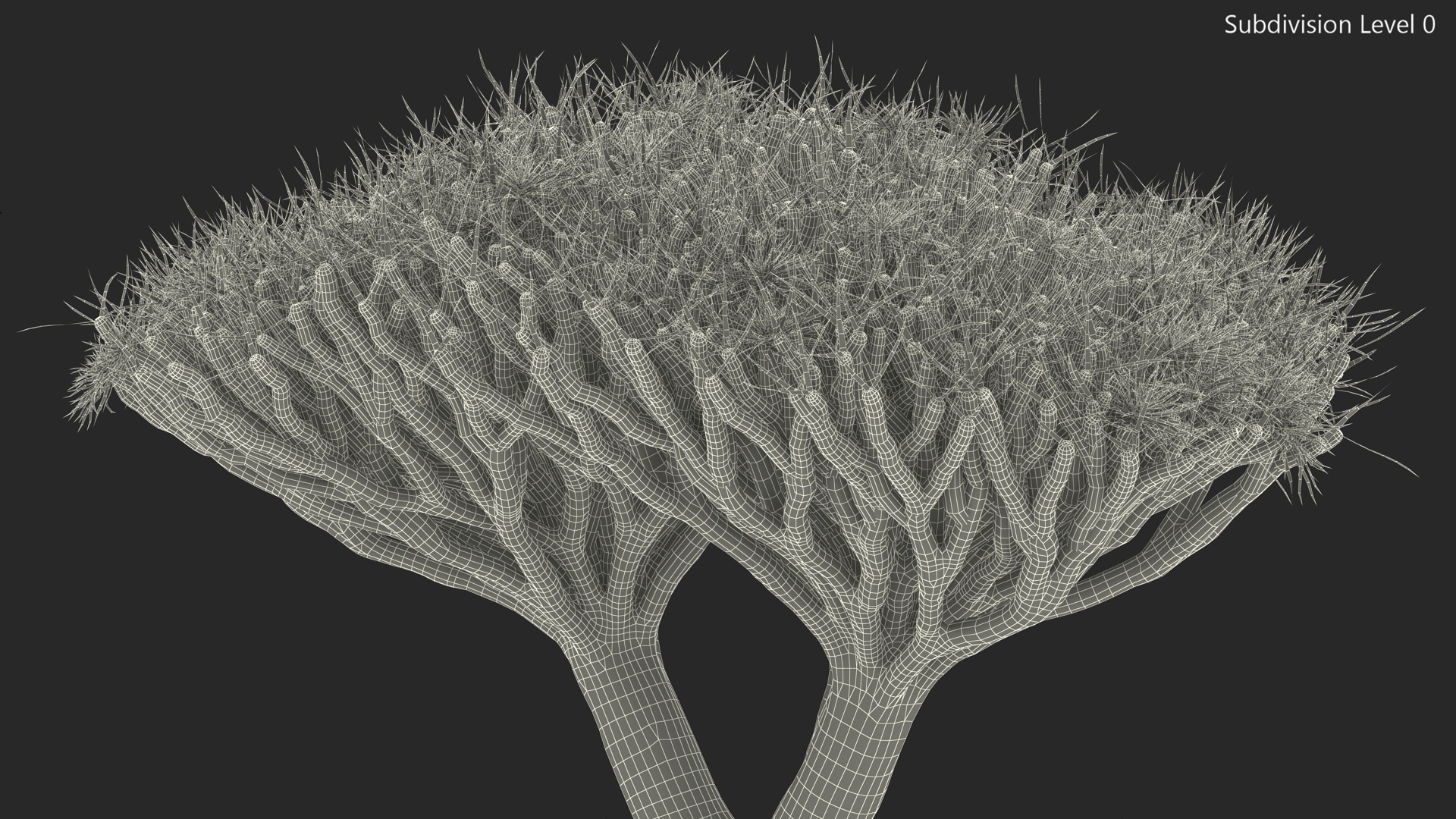 Dragon Tree Roots 3D