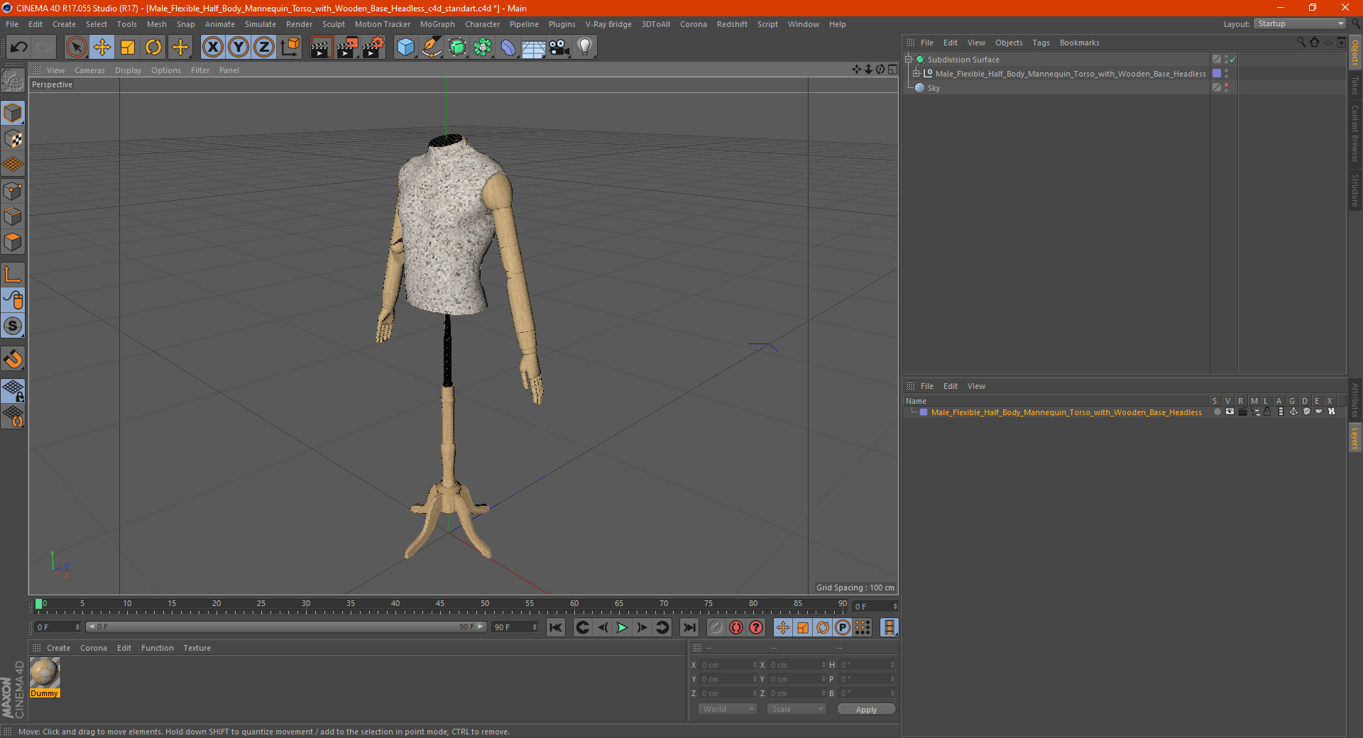 3D model Male Flexible Half Body Mannequin Torso with Wooden Base Headless