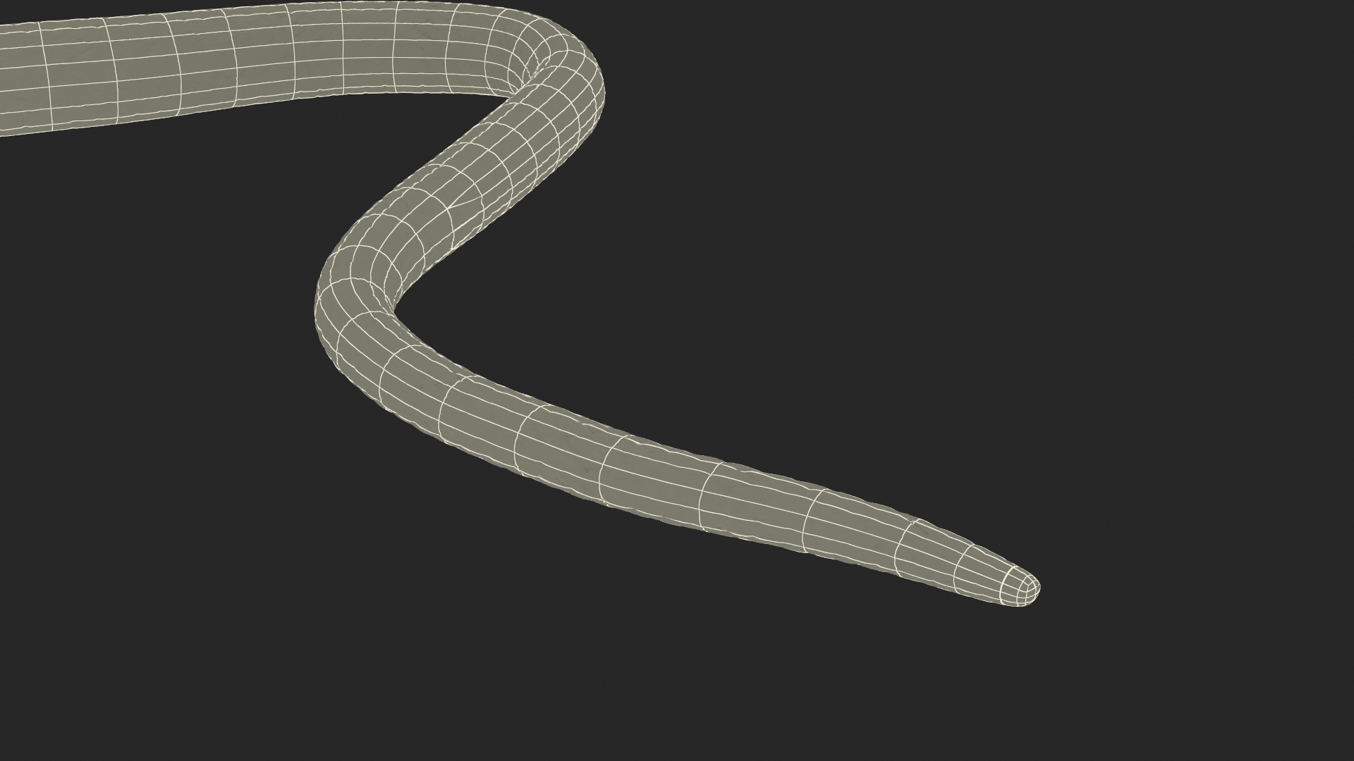 3D model Water Snake Crawling