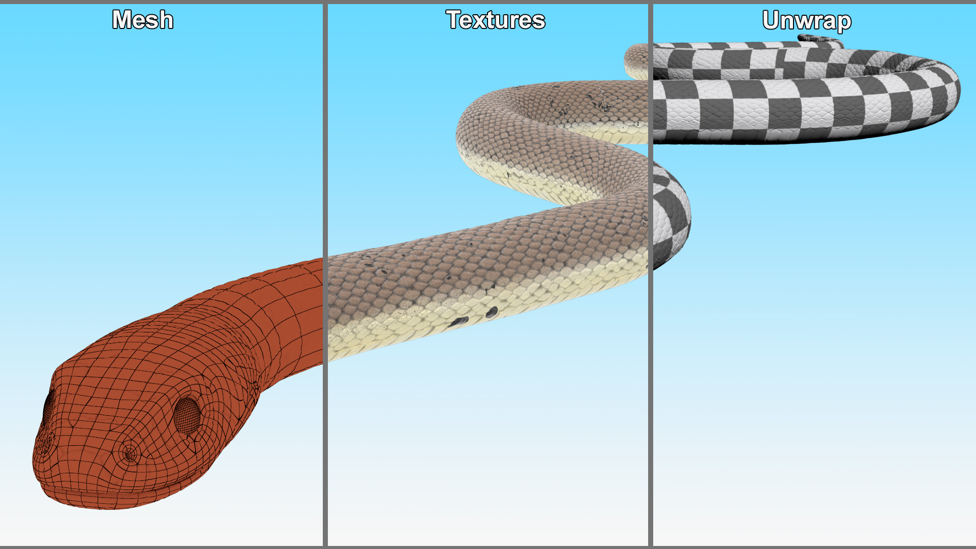 3D model Water Snake Crawling