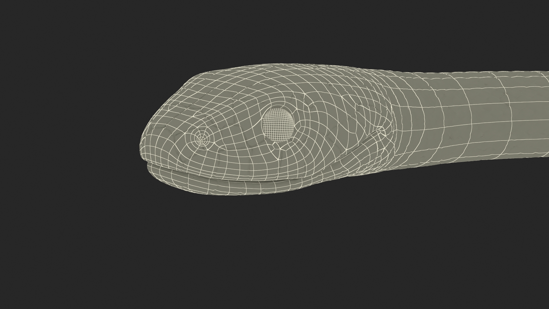 3D model Water Snake Crawling