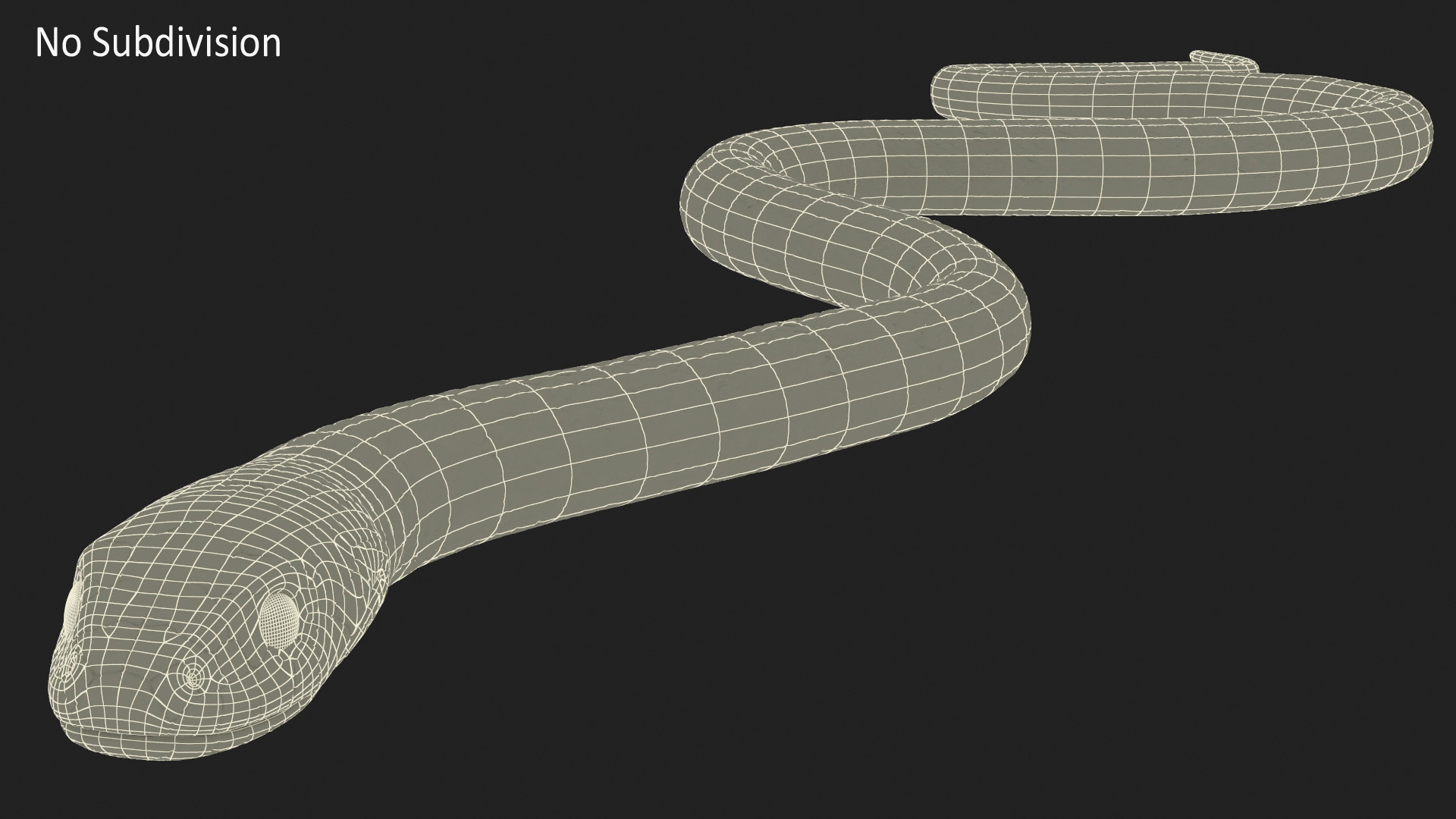 3D model Water Snake Crawling