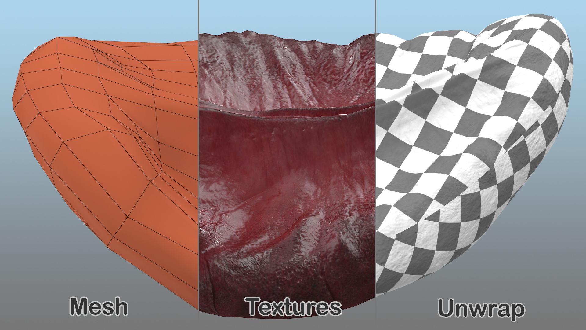 Human Spleen 3D