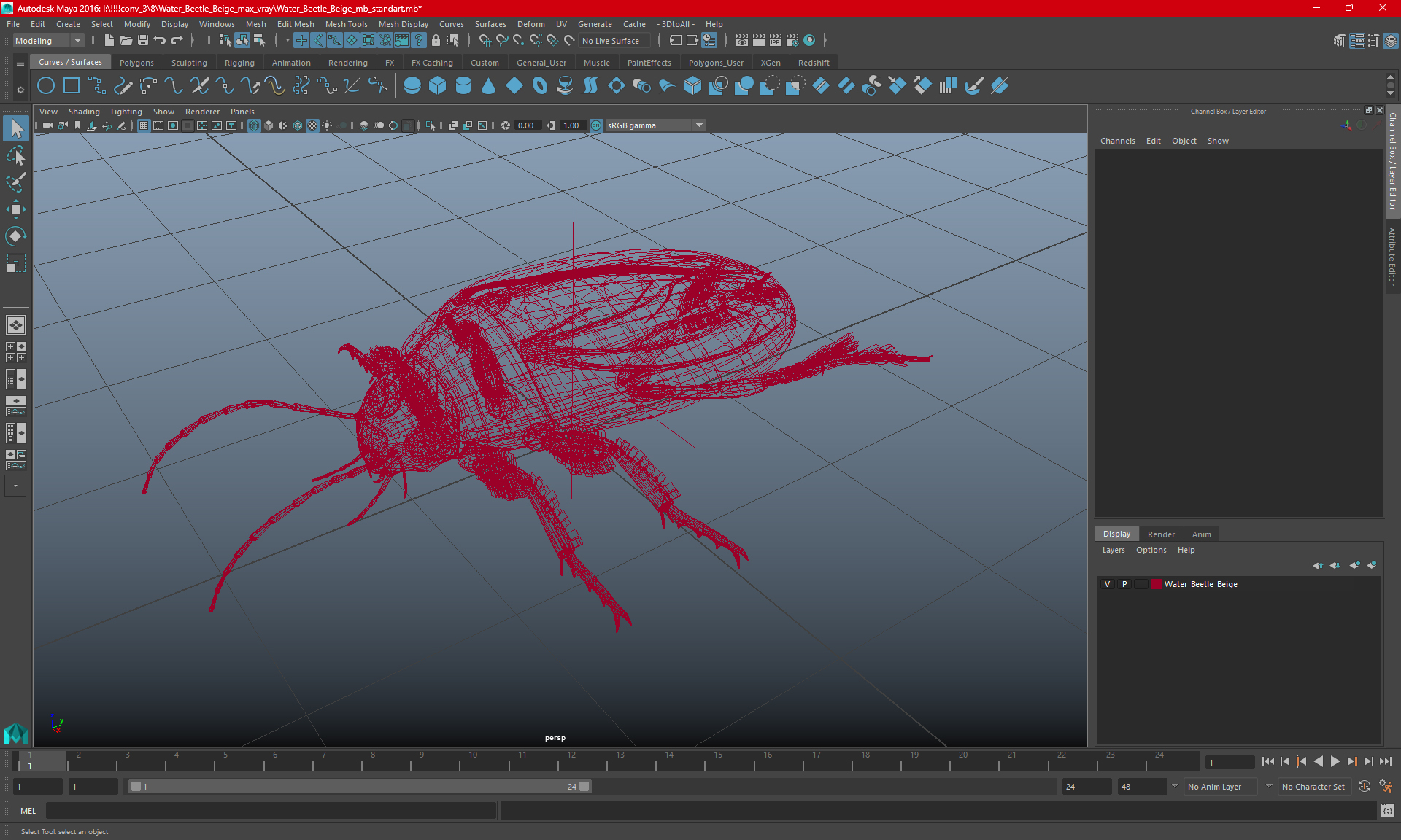 3D Water Beetle Brown model